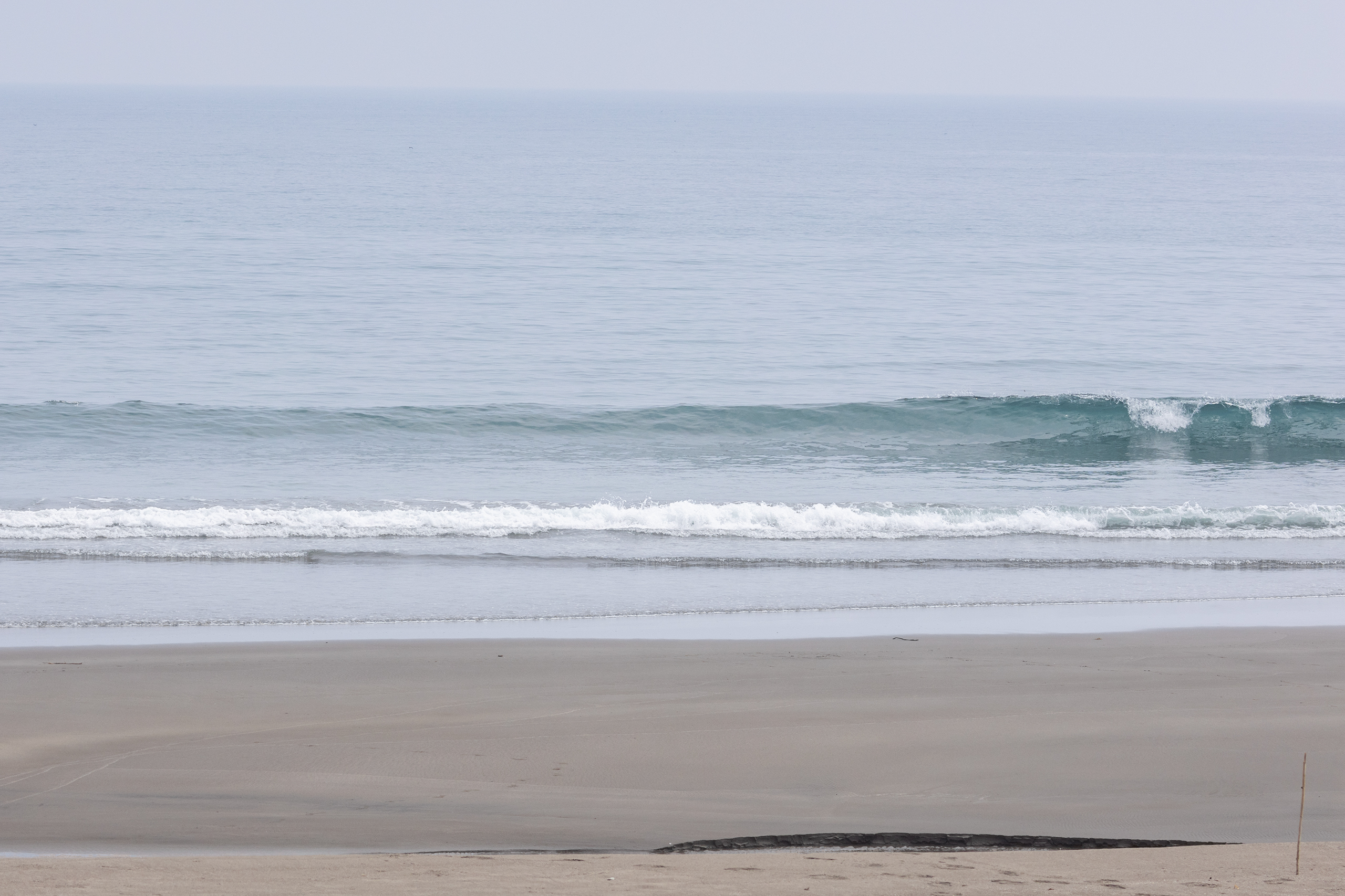 和田 サーフィン・波情報/Surf Report WeekdaySurfReport SURF+
