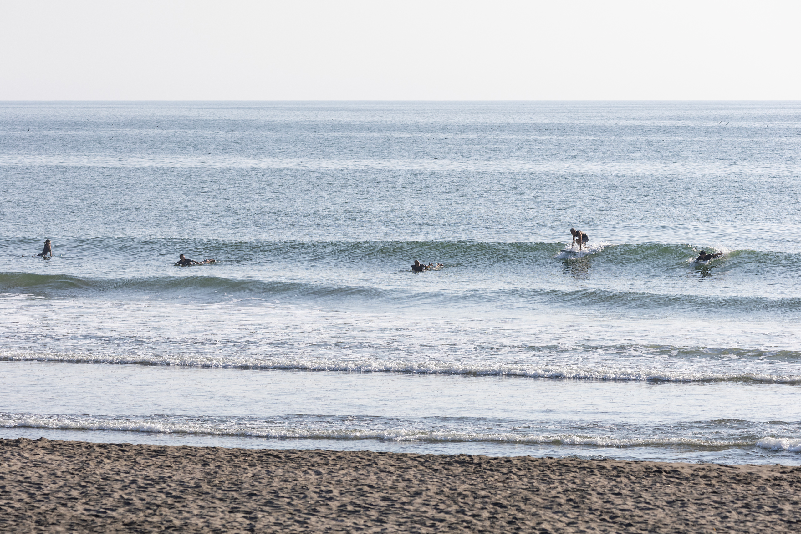 志田 サーフィン・波情報/Surf Report WeekdaySurfReport SURF+
