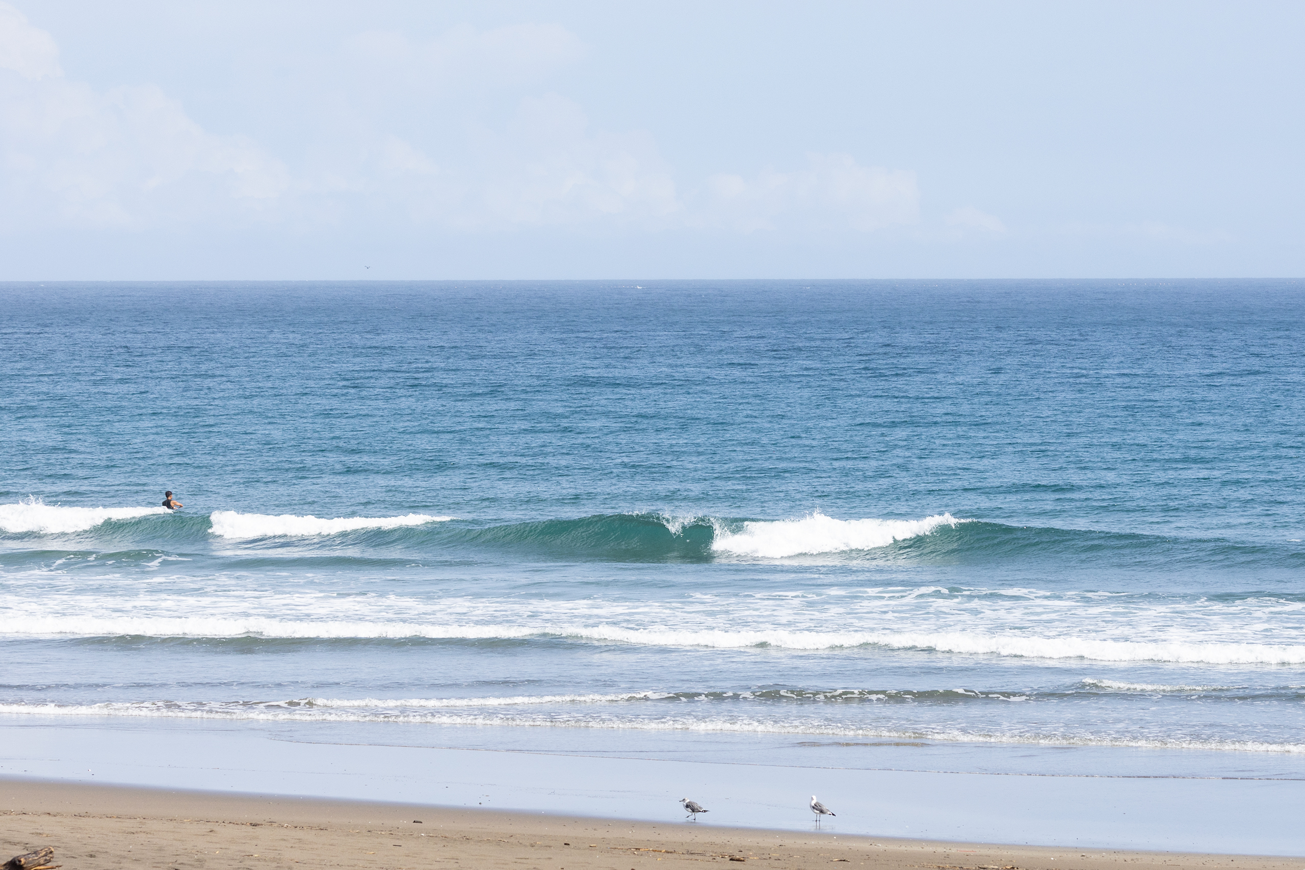 和田 サーフィン・波情報/Surf Report WeekdaySurfReport SURF+