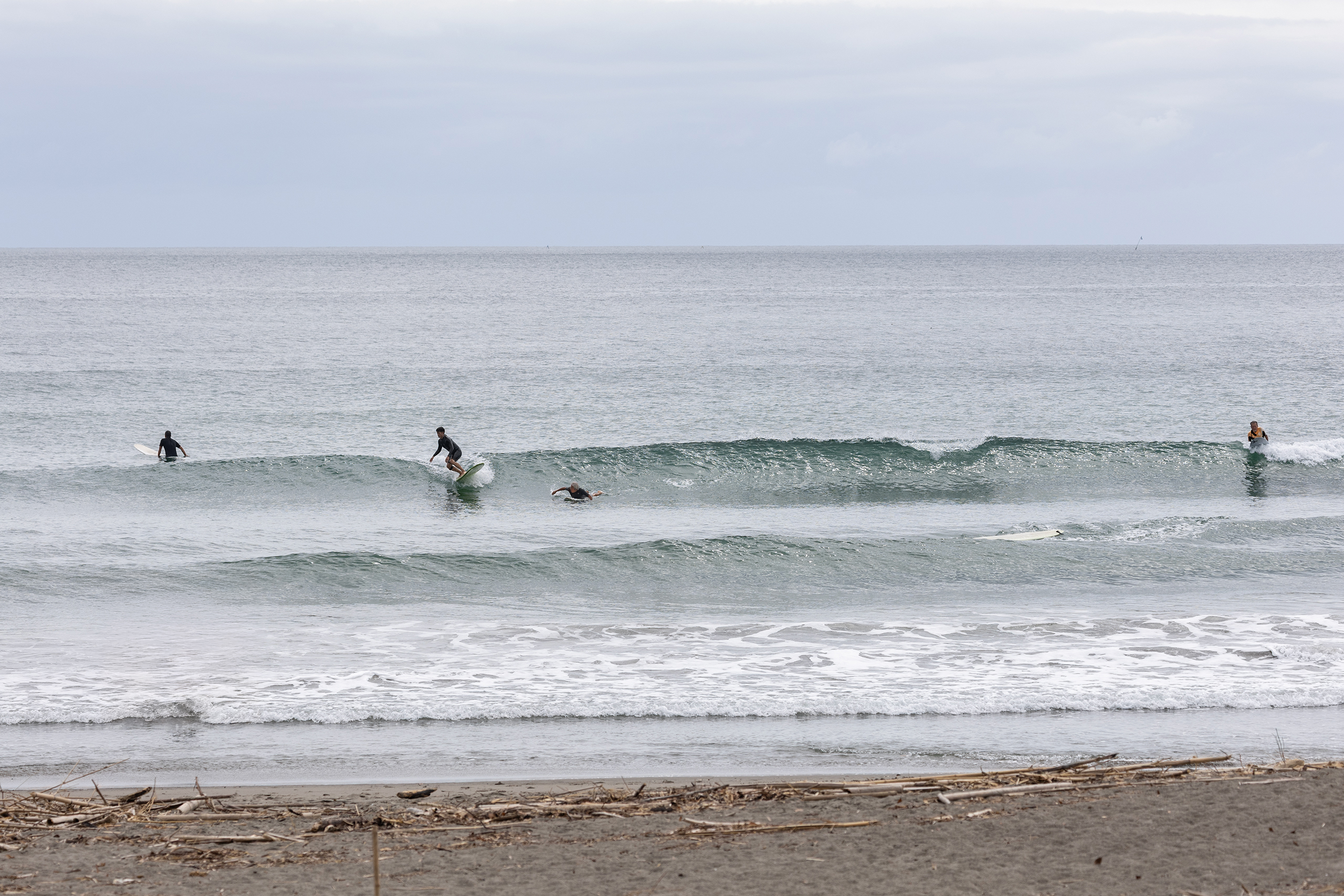 鴨川 サーフィン・波情報/Surf Report WeekdaySurfReport SURF+