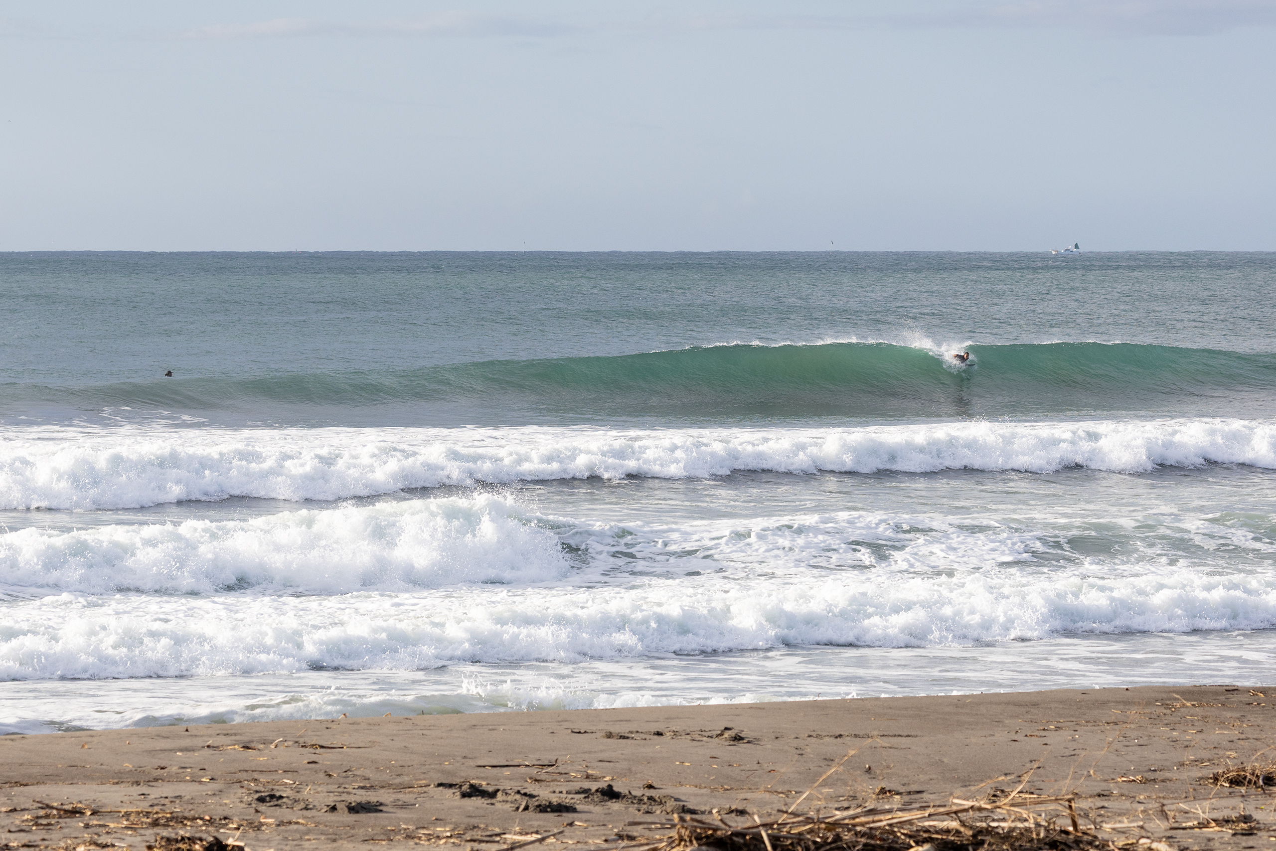 鴨川 サーフィン・波情報/Surf Report WeekdaySurfReport SURF+