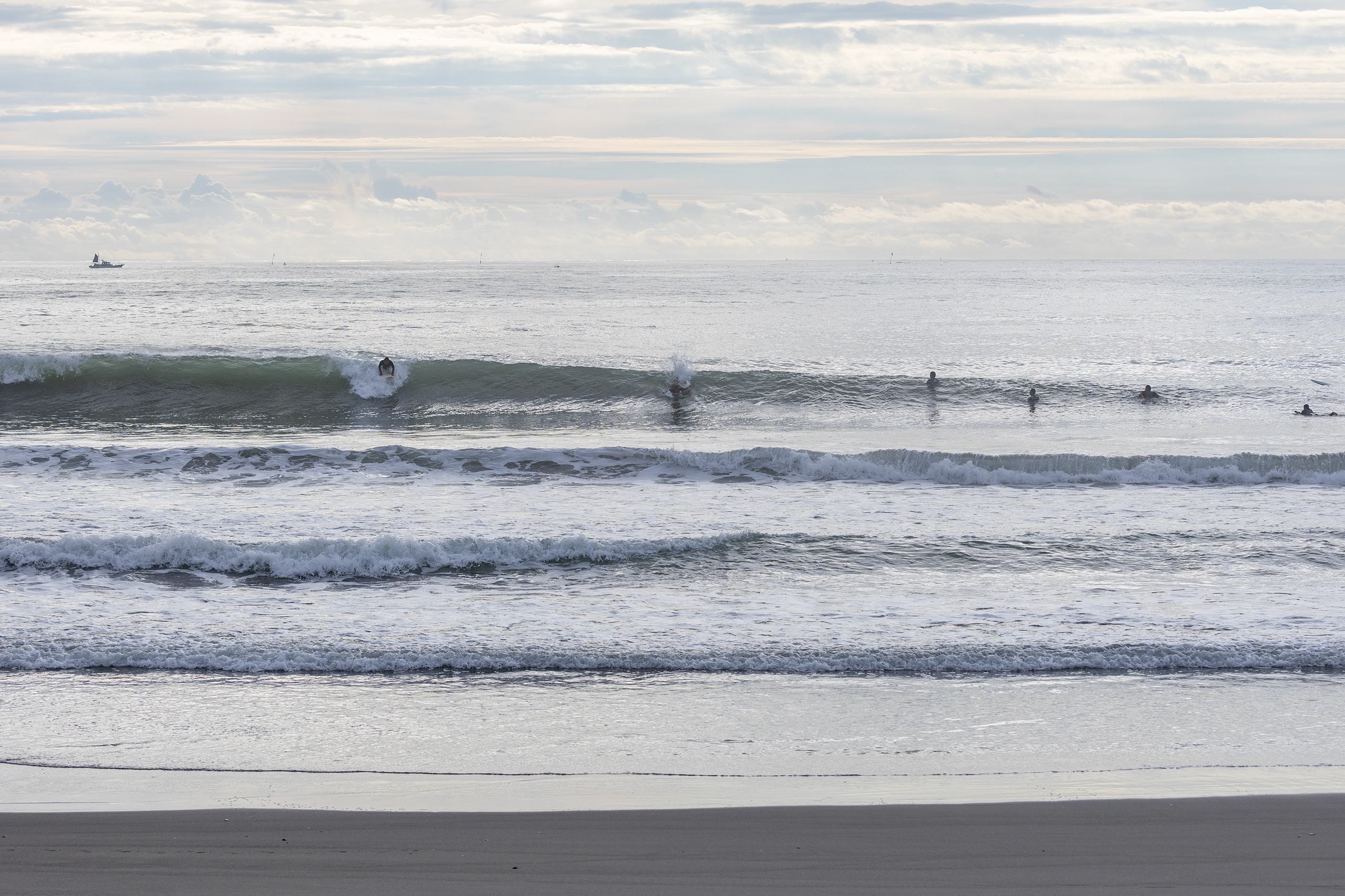 鴨川 サーフィン・波情報/Surf Report WeekdaySurfReport SURF+