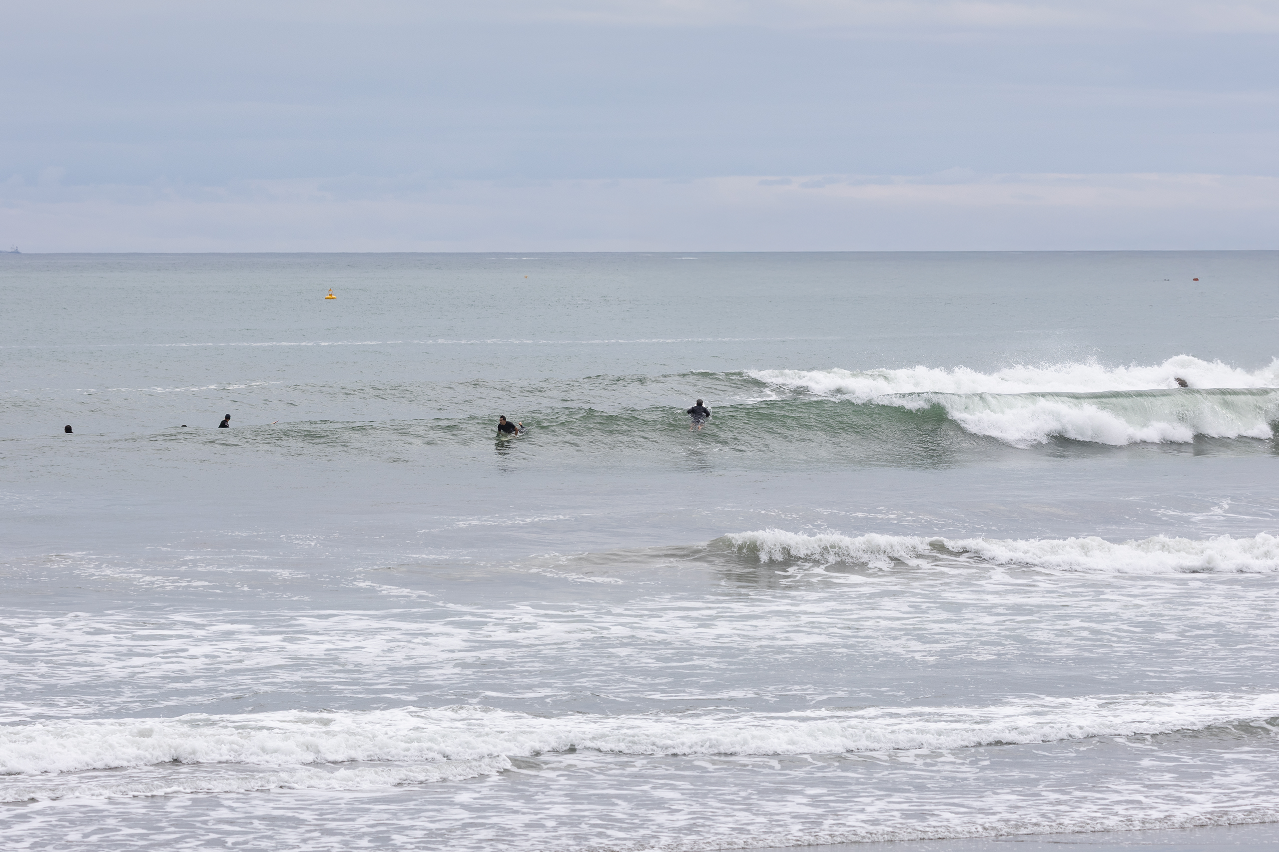 鴨川 サーフィン・波情報/Surf Report WeekdaySurfReport SURF+
