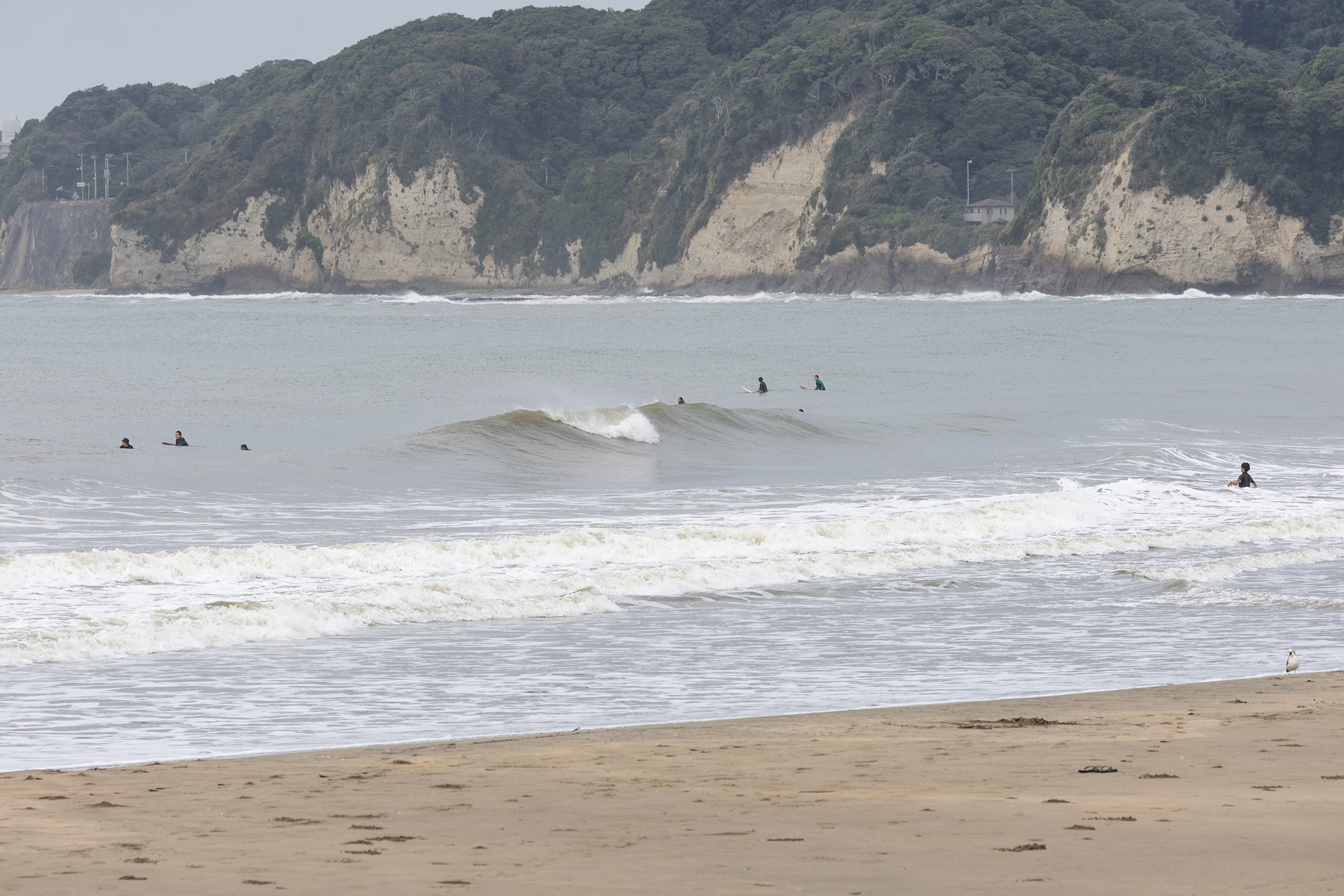 御宿 サーフィン・波情報/Surf Report WeekdaySurfReport SURF+