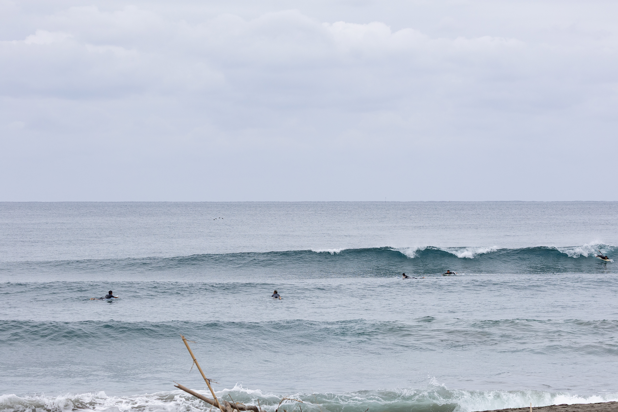 鴨川 サーフィン・波情報/Surf Report WeekdaySurfReport SURF+