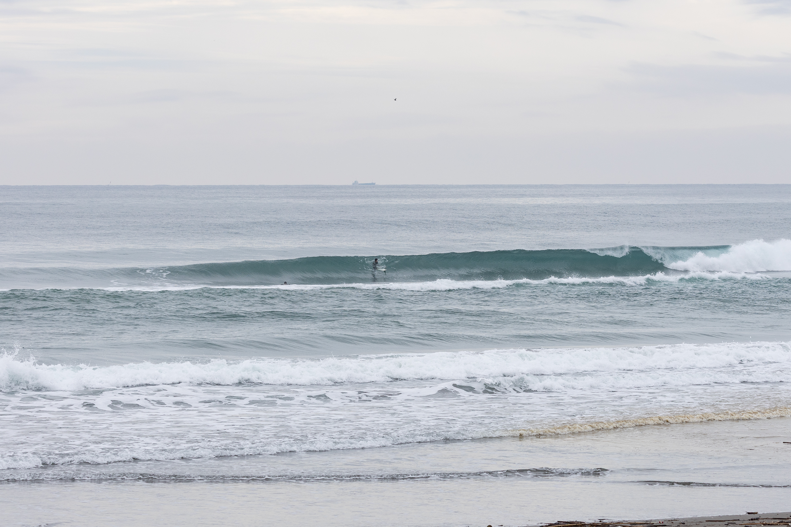 和田 サーフィン・波情報/Surf Report WeekdaySurfReport SURF+