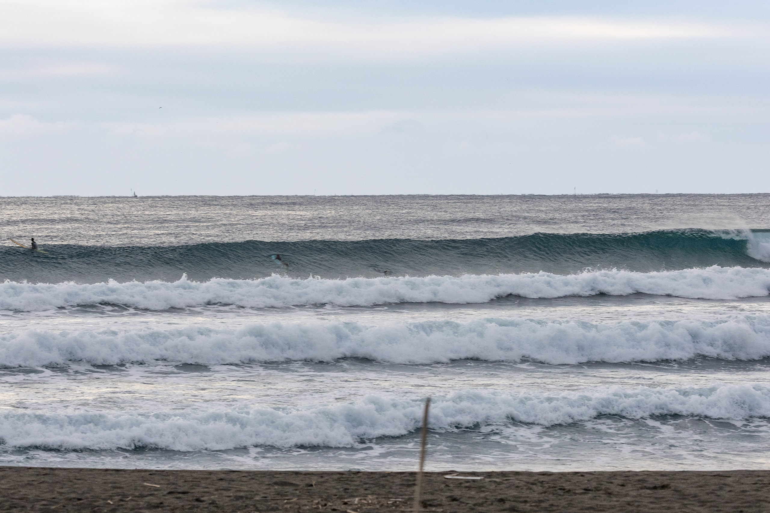 鴨川 サーフィン・波情報/Surf Report WeekdaySurfReport SURF+