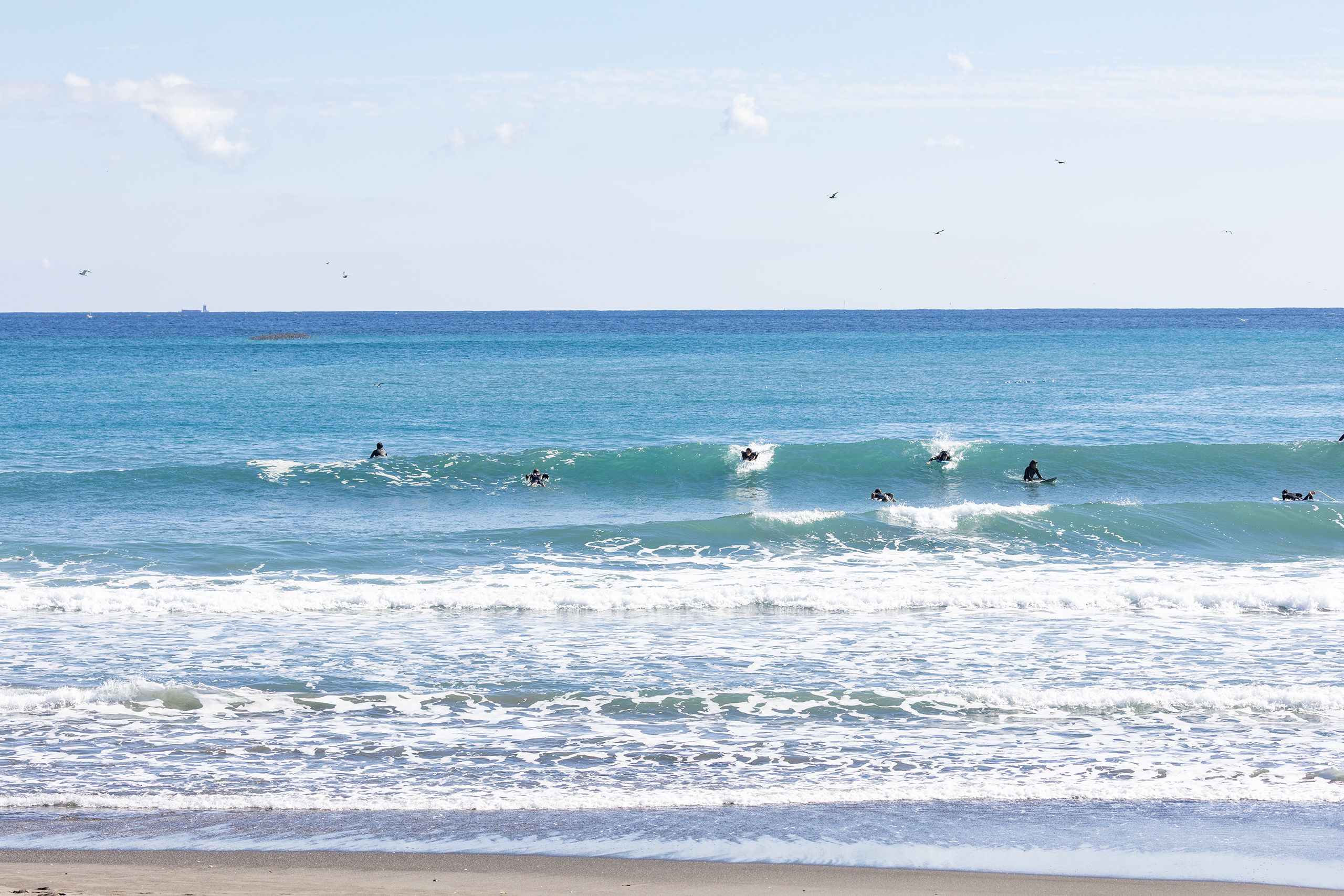 鴨川 サーフィン・波情報/Surf Report WeekdaySurfReport SURF+