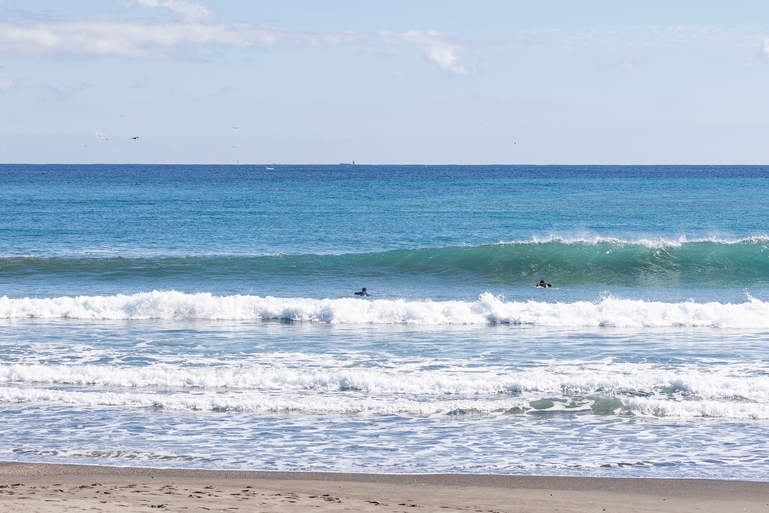 鴨川 サーフィン・波情報/Surf Report WeekdaySurfReport SURF+