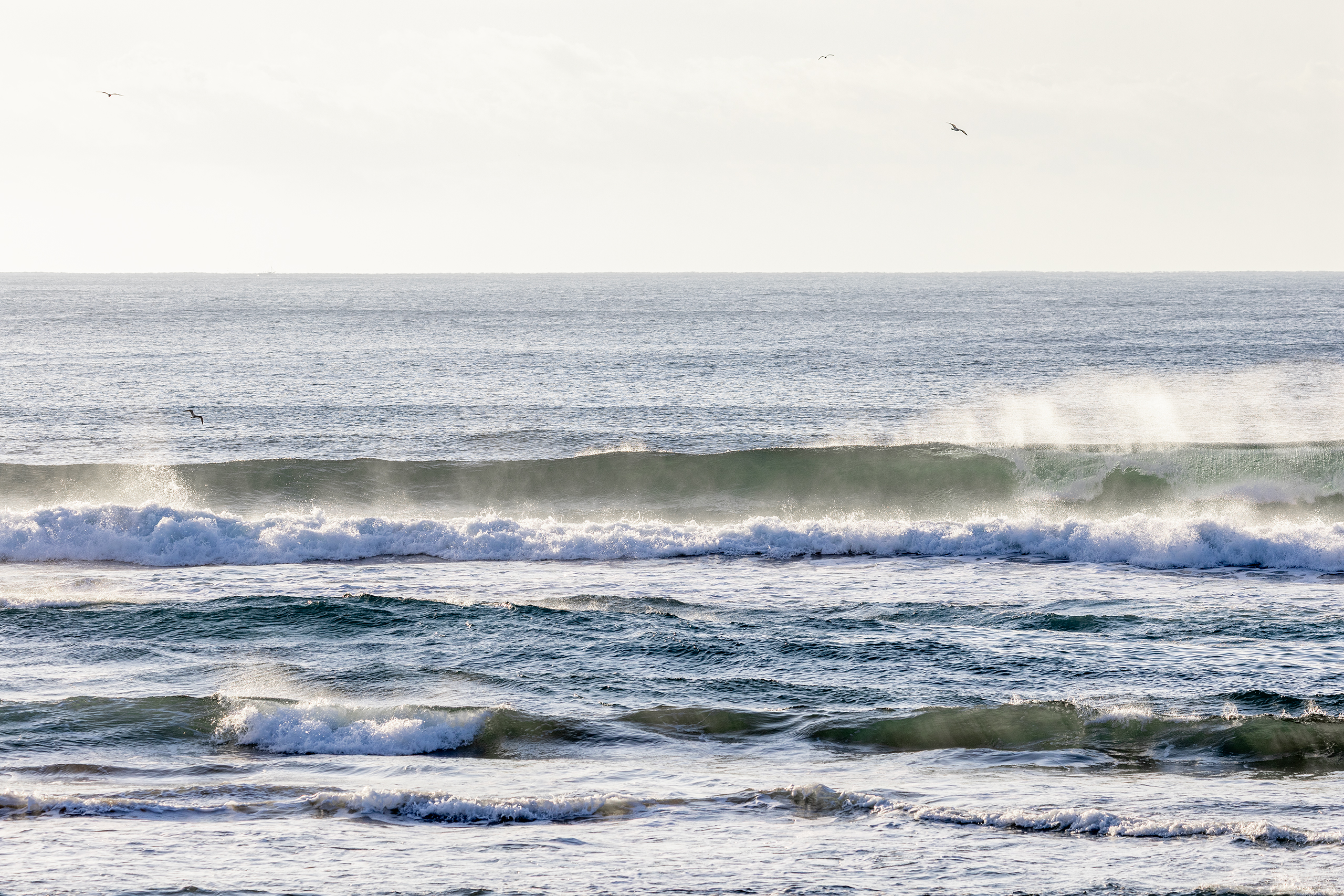 鴨川 サーフィン・波情報/Surf Report WeekdaySurfReport SURF+