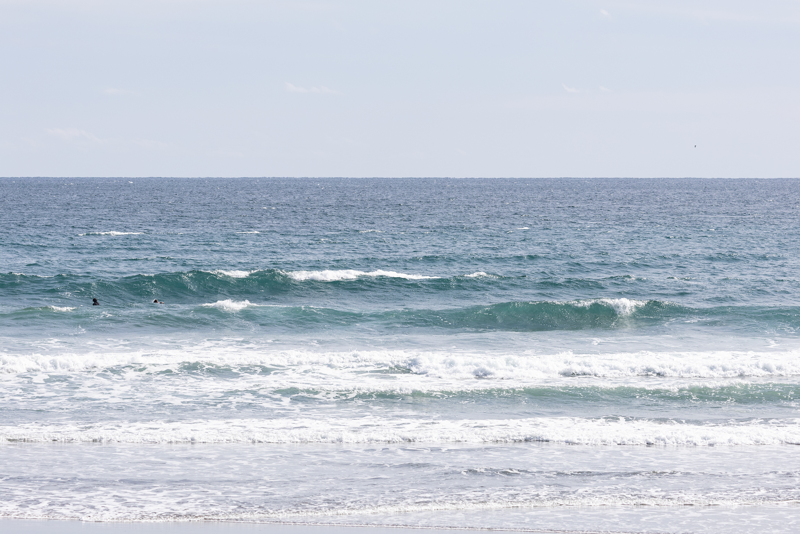 和田 サーフィン・波情報/Surf Report WeekdaySurfReport SURF+