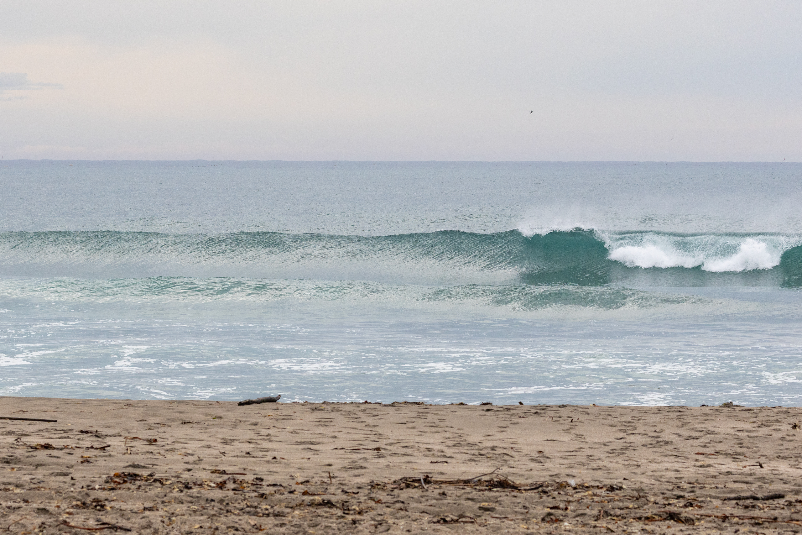 千倉 サーフィン・波情報/Surf Report WeekdaySurfReport SURF+