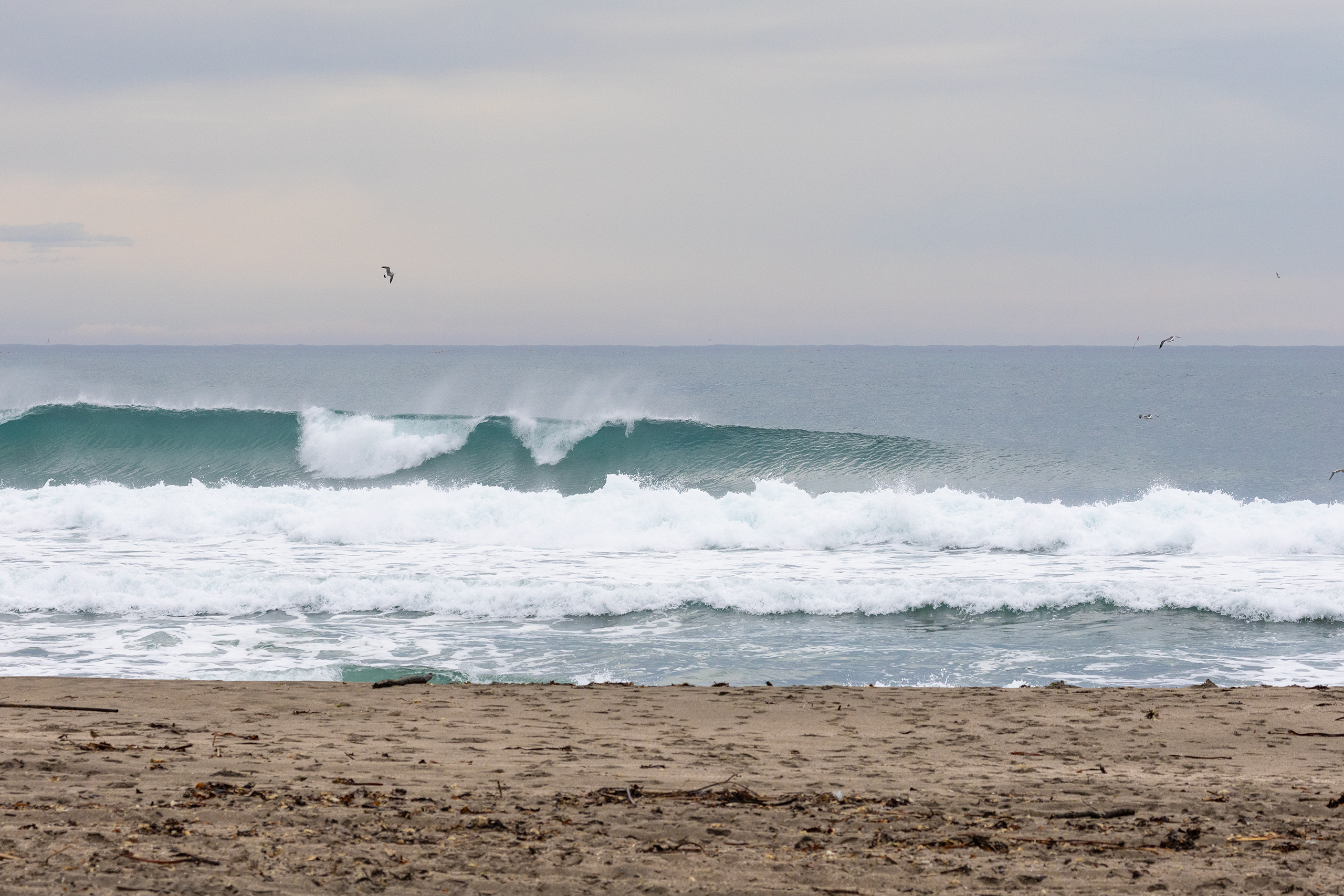 千倉 サーフィン・波情報/Surf Report WeekdaySurfReport SURF+