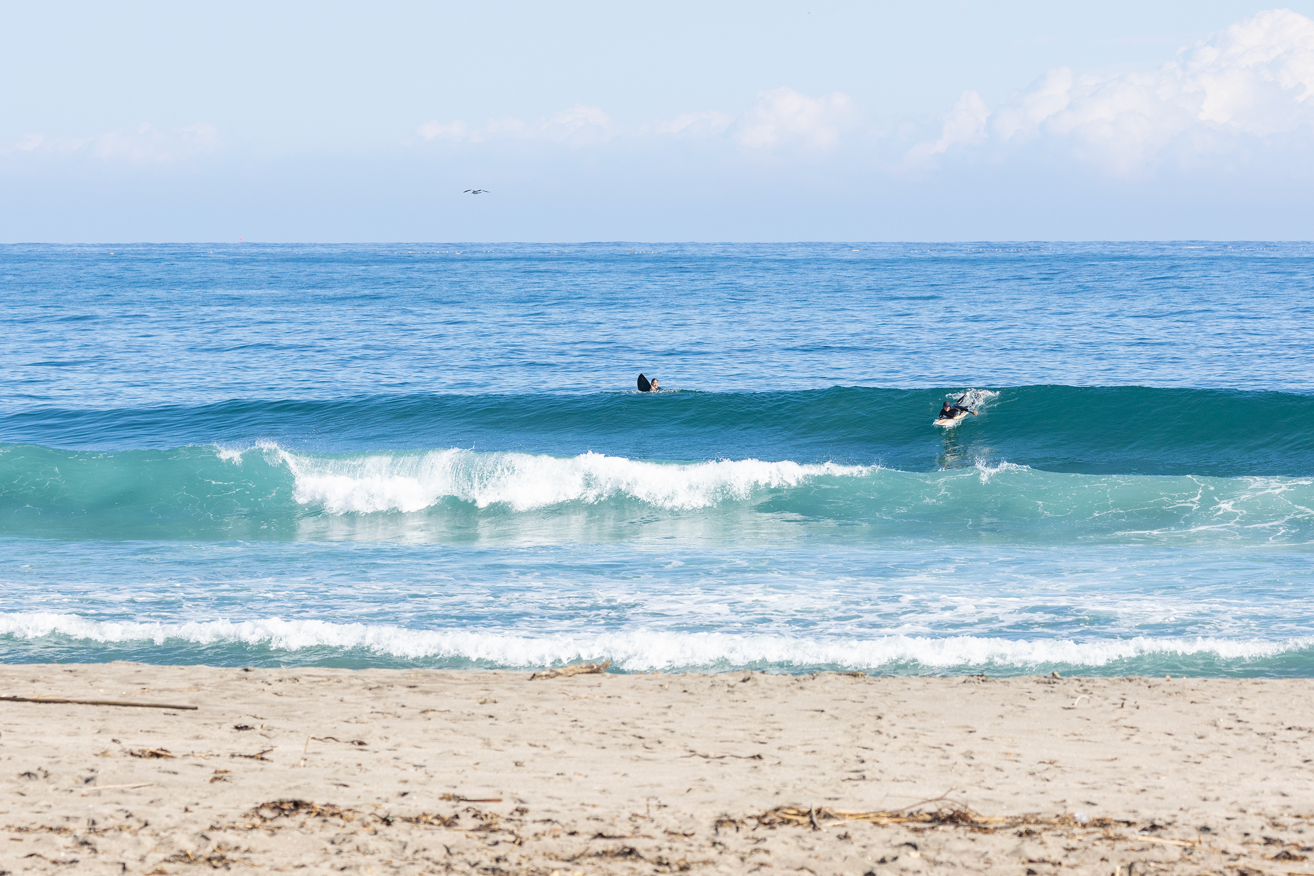 千倉 サーフィン・波情報/Surf Report WeekdaySurfReport SURF+