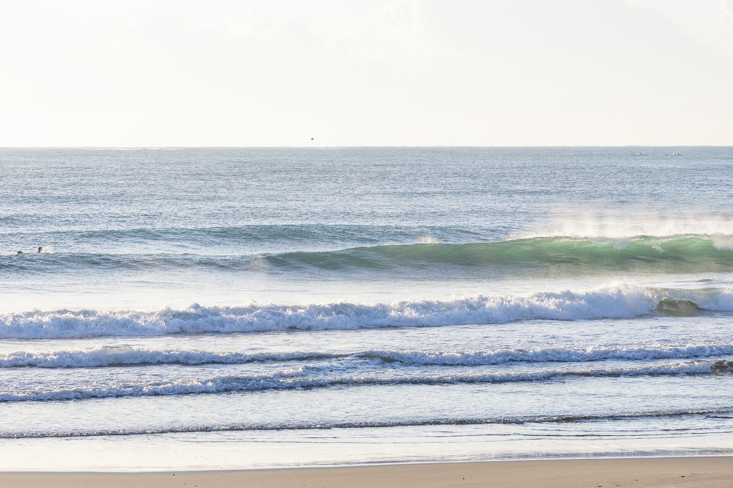 鴨川 サーフィン・波情報/Surf Report WeekdaySurfReport SURF+