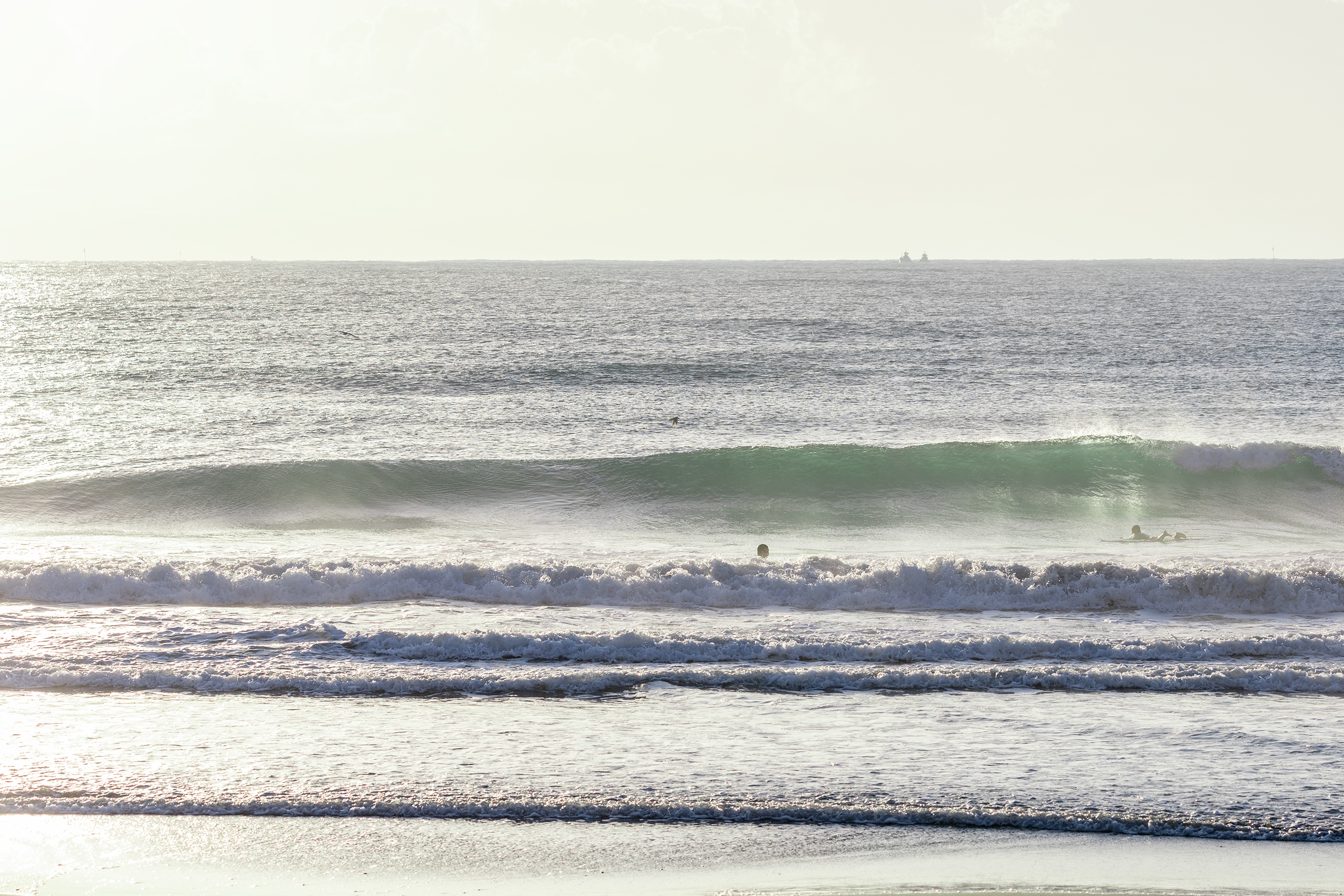 鴨川 サーフィン・波情報/Surf Report WeekdaySurfReport SURF+
