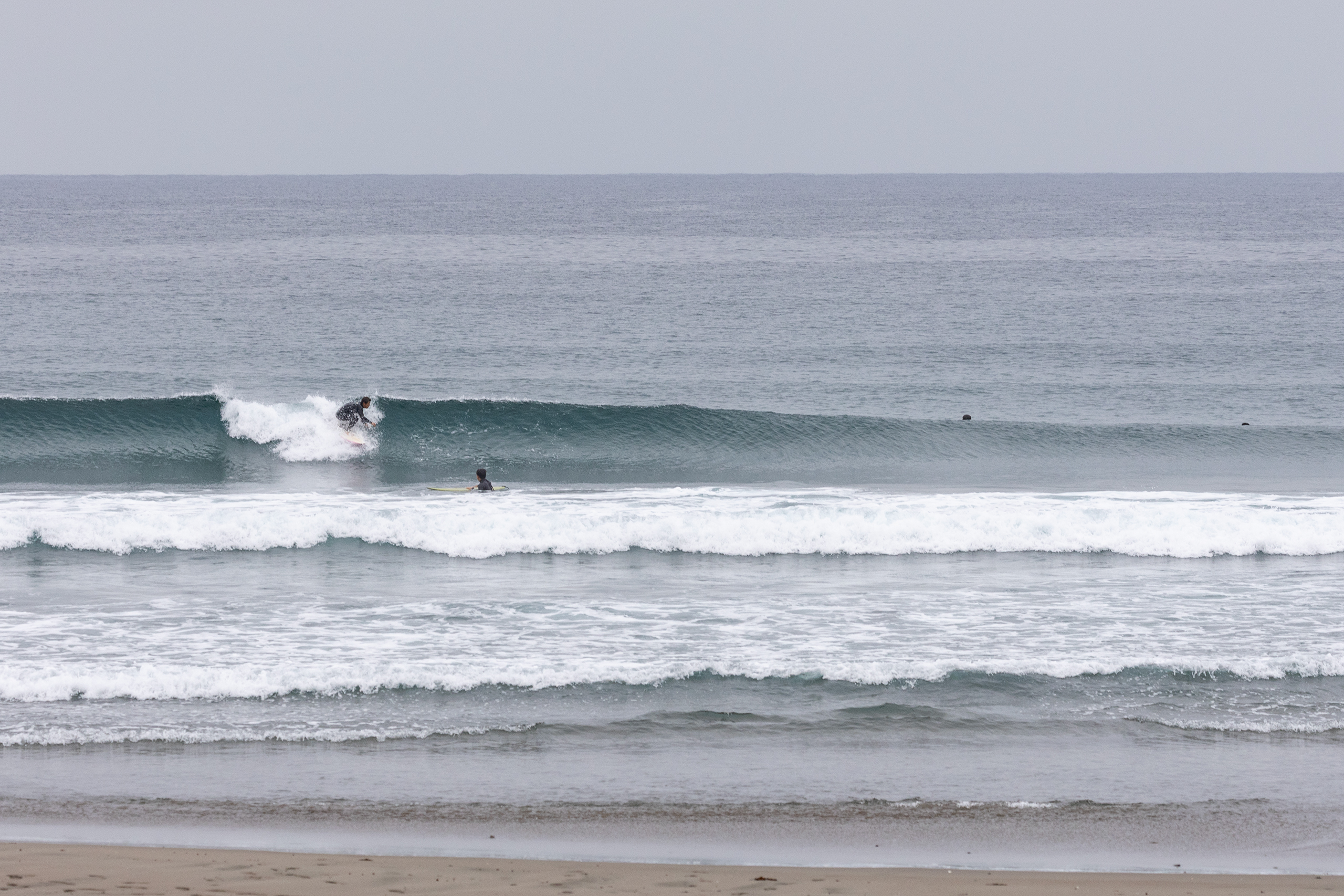 和田 サーフィン・波情報/Surf Report WeekdaySurfReport SURF+