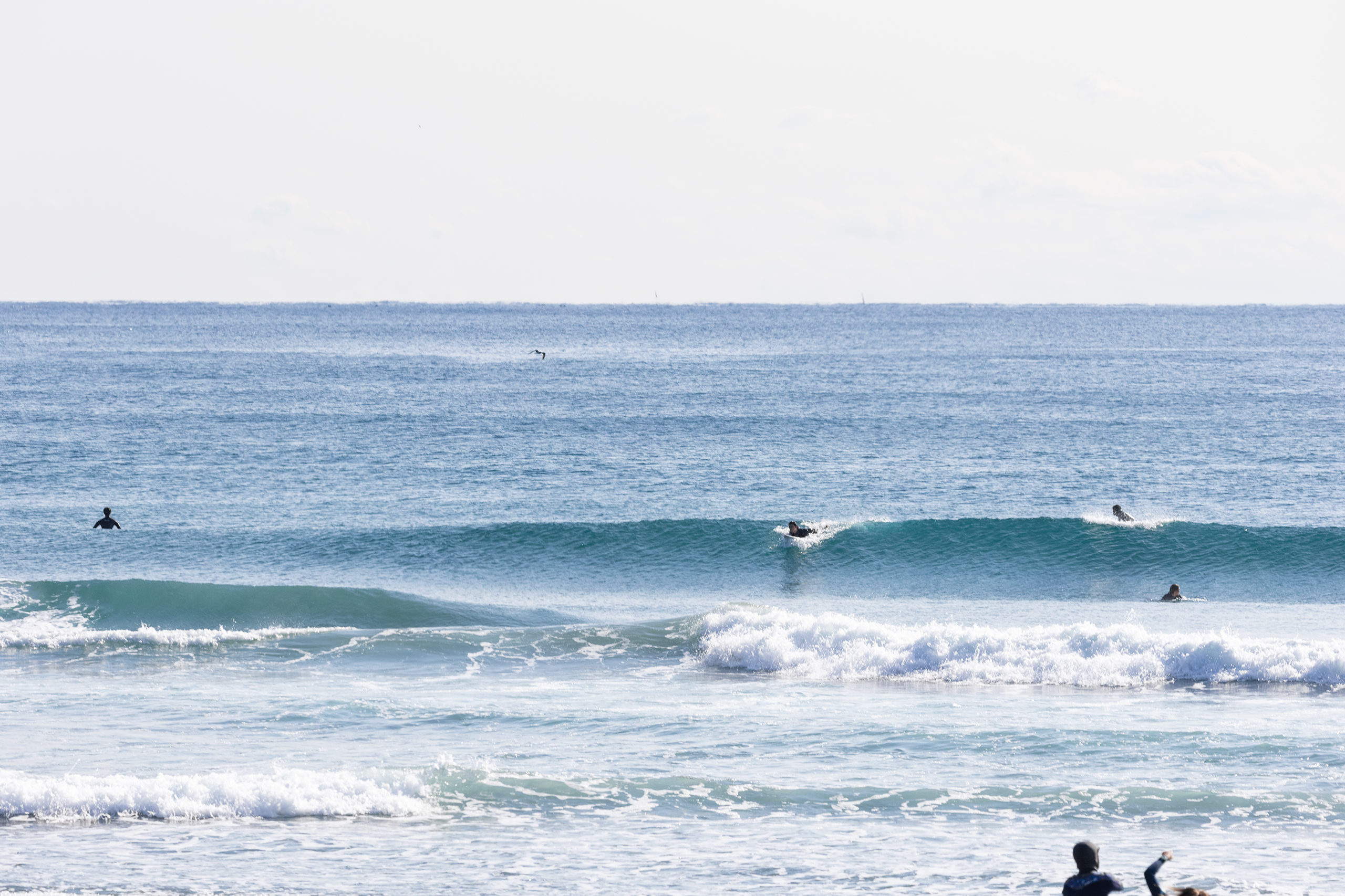 和田 サーフィン・波情報/Surf Report WeekdaySurfReport SURF+