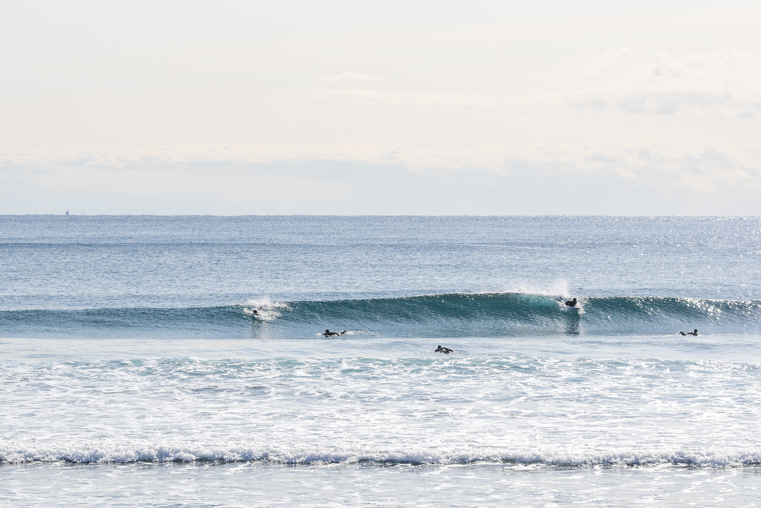 和田 サーフィン・波情報/Surf Report WeekdaySurfReport SURF+