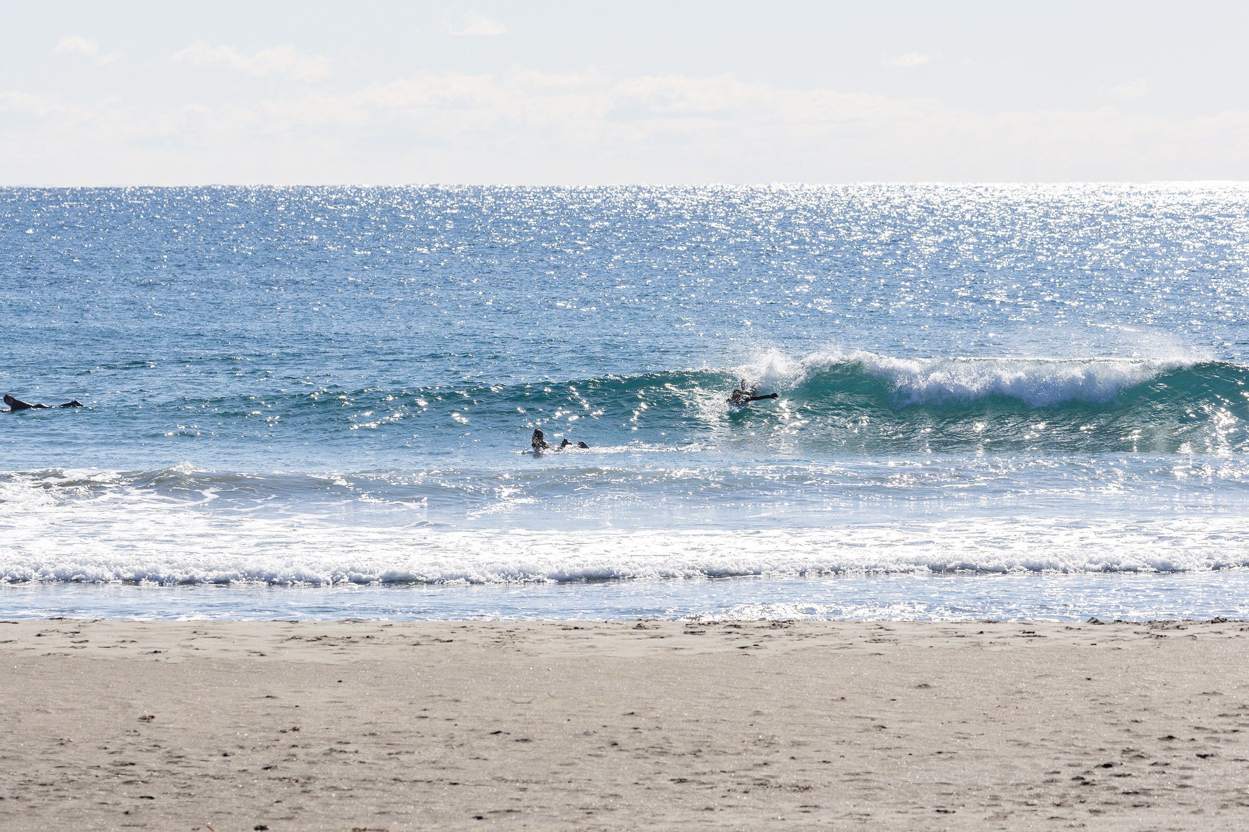 和田 サーフィン・波情報/Surf Report WeekdaySurfReport SURF+