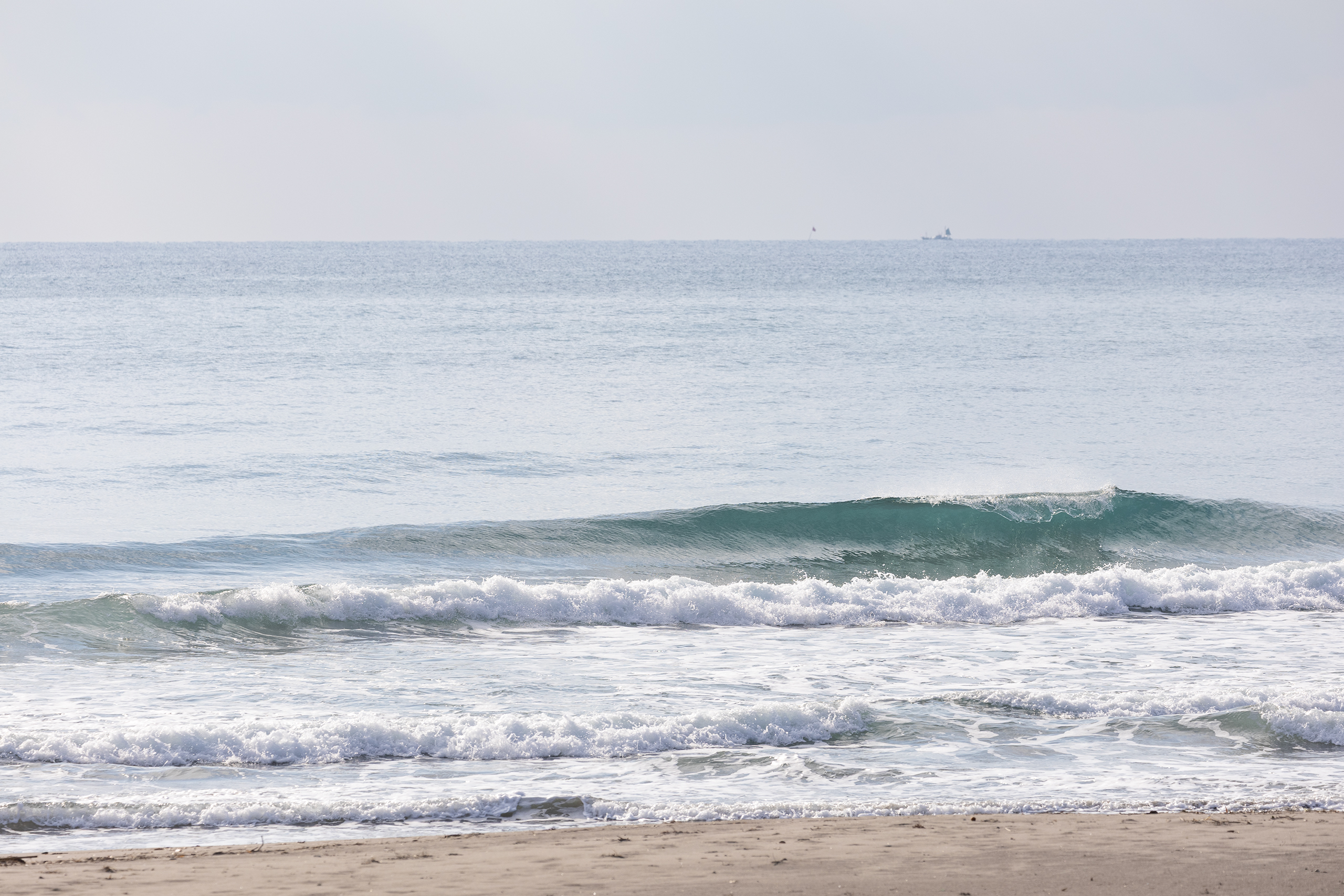 和田 サーフィン・波情報/Surf Report WeekdaySurfReport SURF+