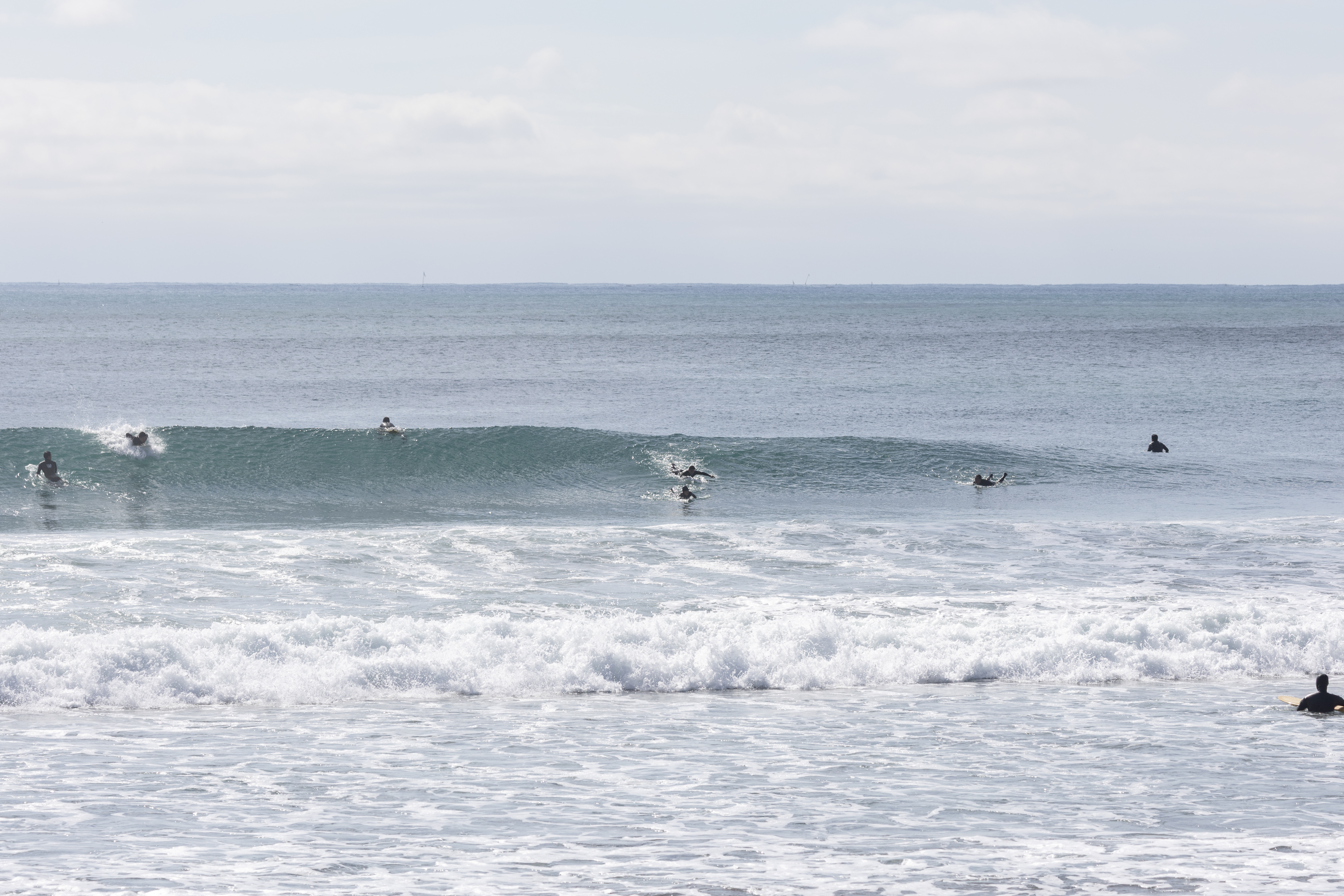 鴨川 サーフィン・波情報/Surf Report WeekdaySurfReport SURF+