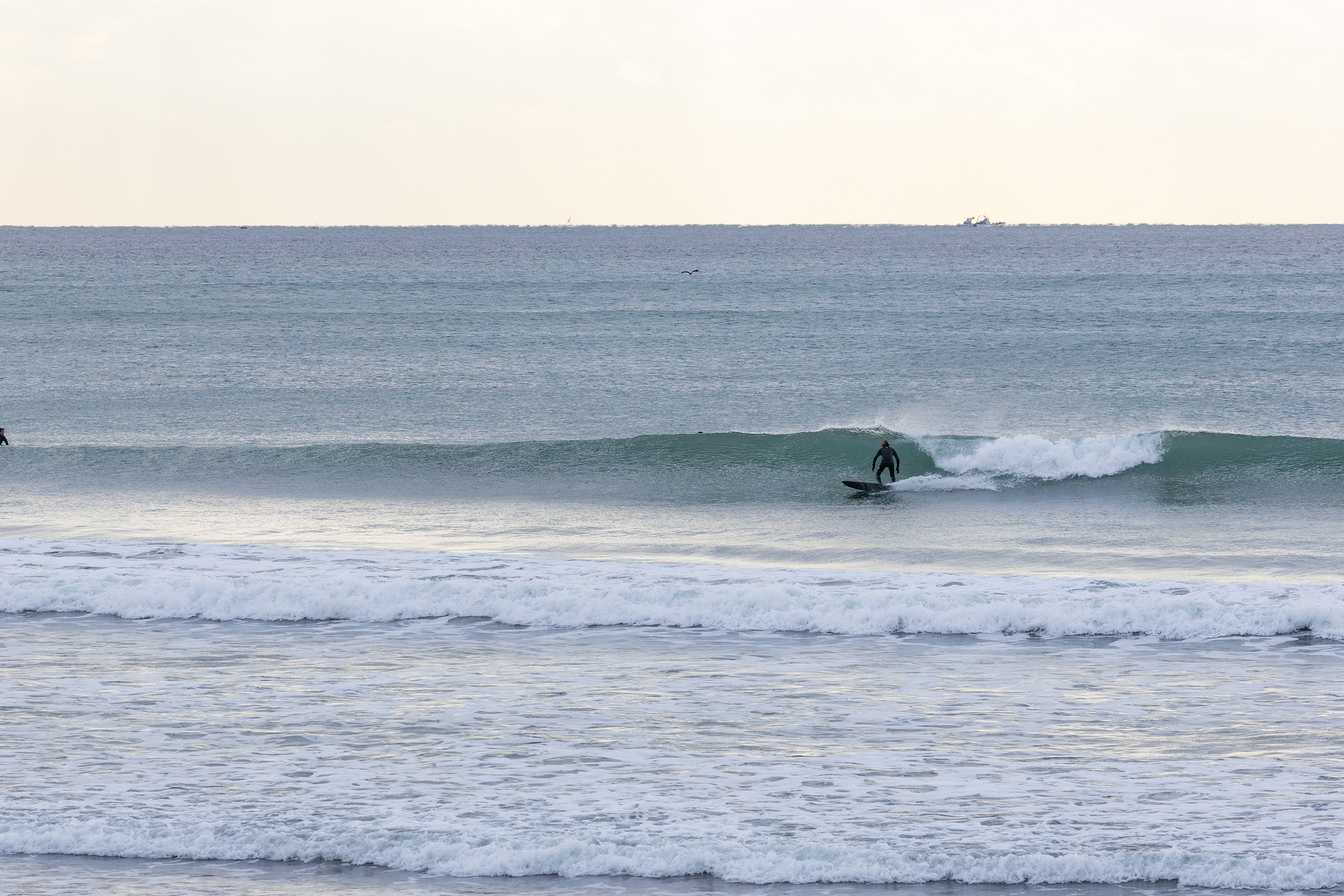 和田 サーフィン・波情報/Surf Report WeekdaySurfReport SURF+