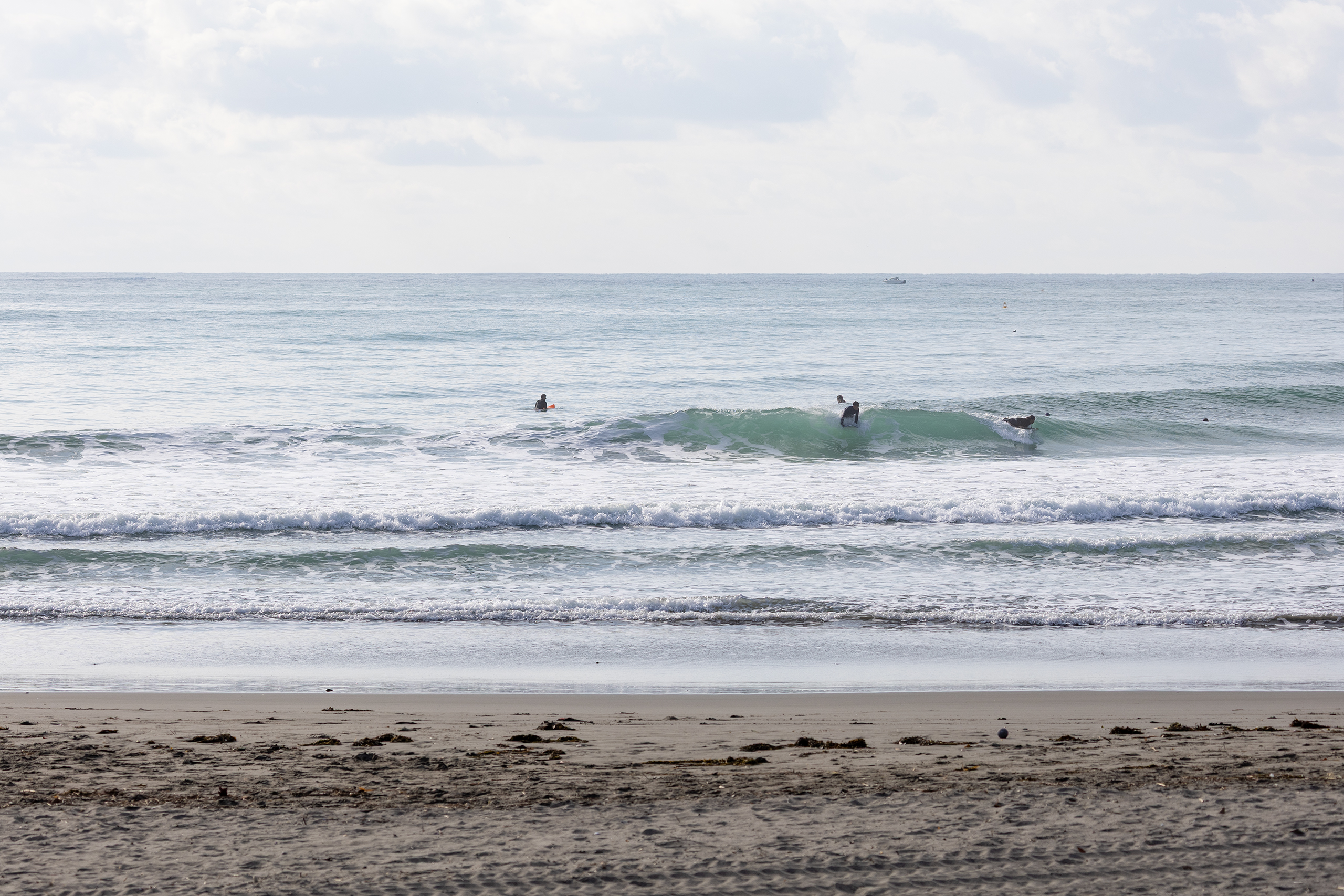 鴨川 サーフィン・波情報/Surf Report WeekdaySurfReport SURF+