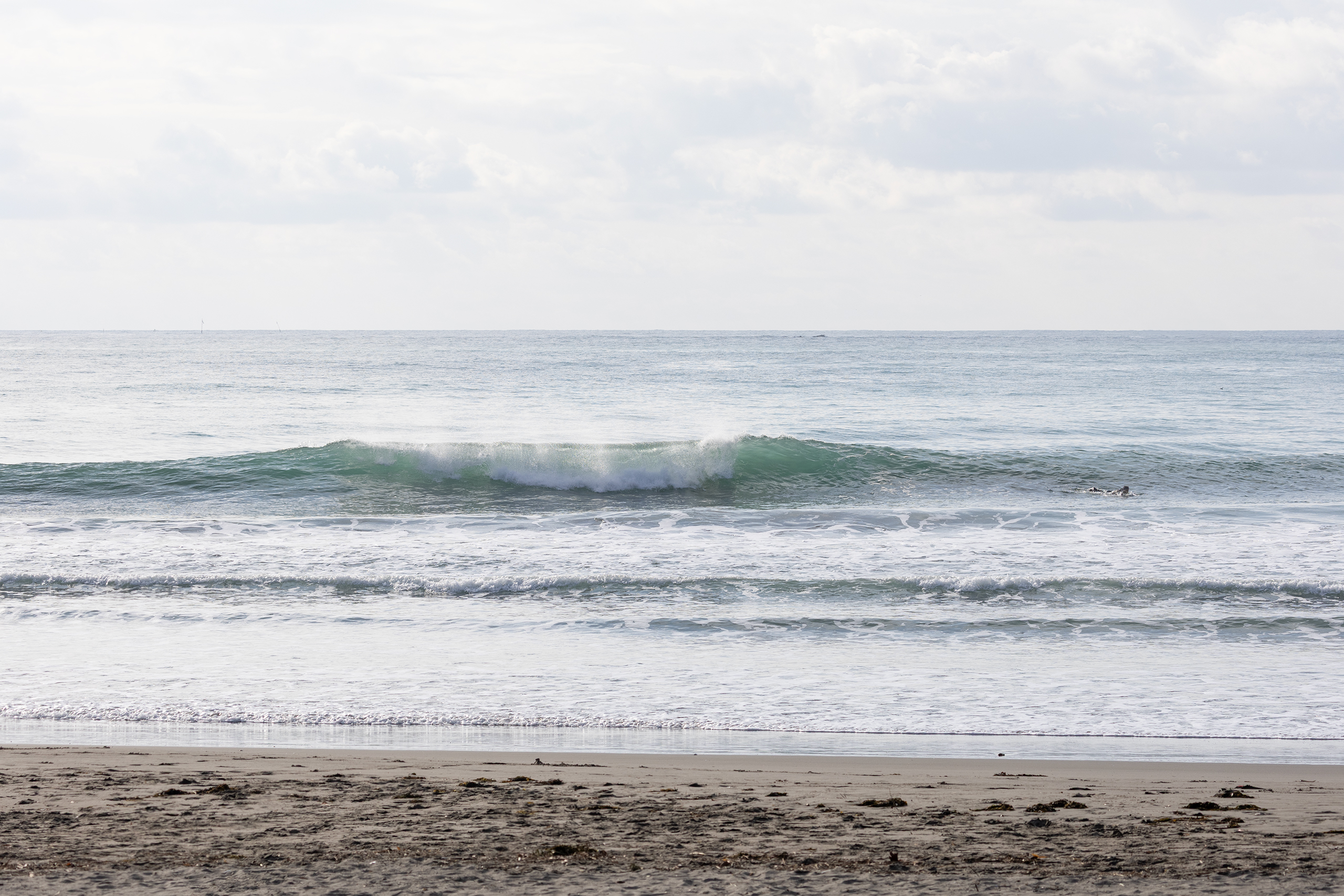 鴨川 サーフィン・波情報/Surf Report WeekdaySurfReport SURF+