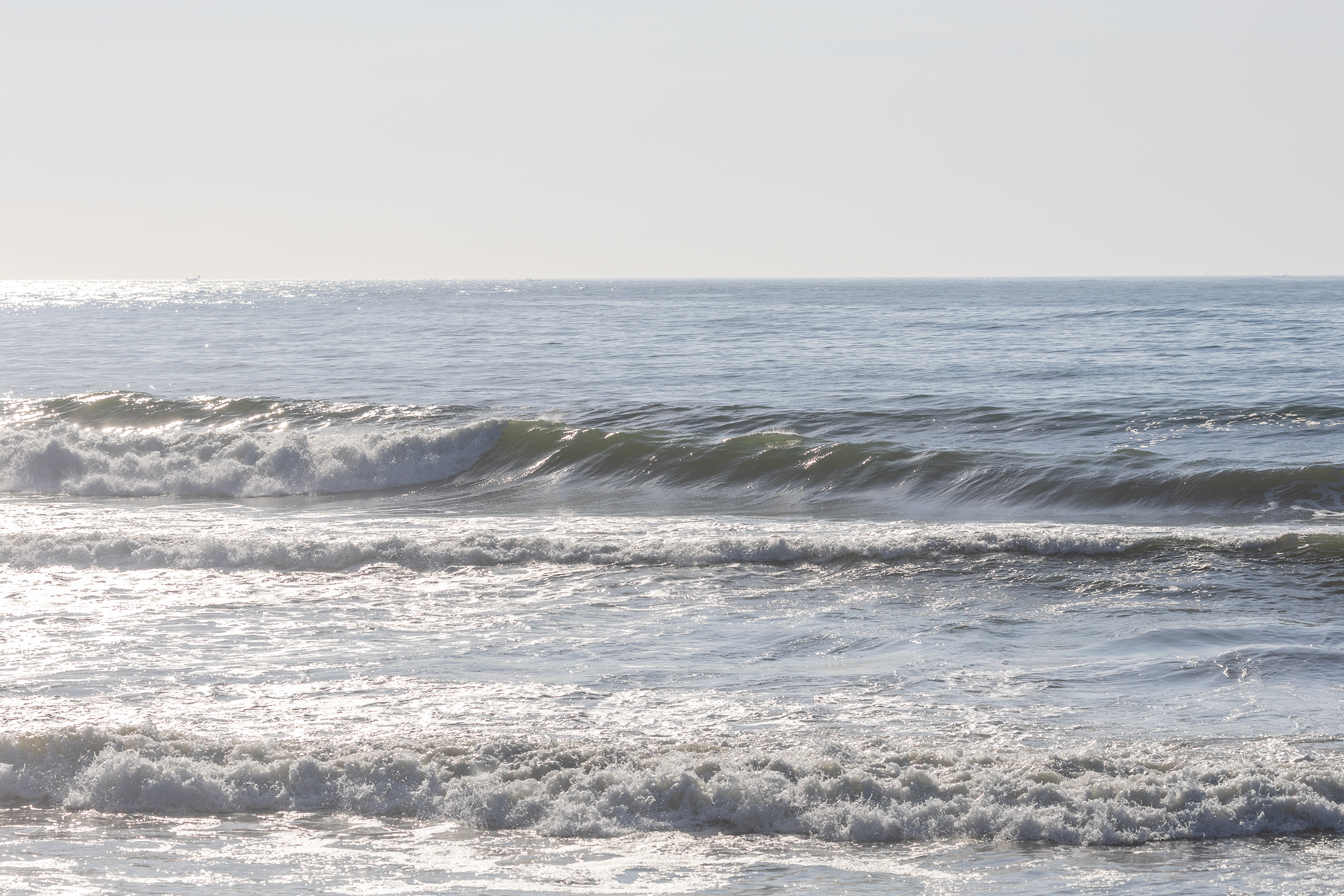 鴨川 サーフィン・波情報/Surf Report WeekdaySurfReport SURF+