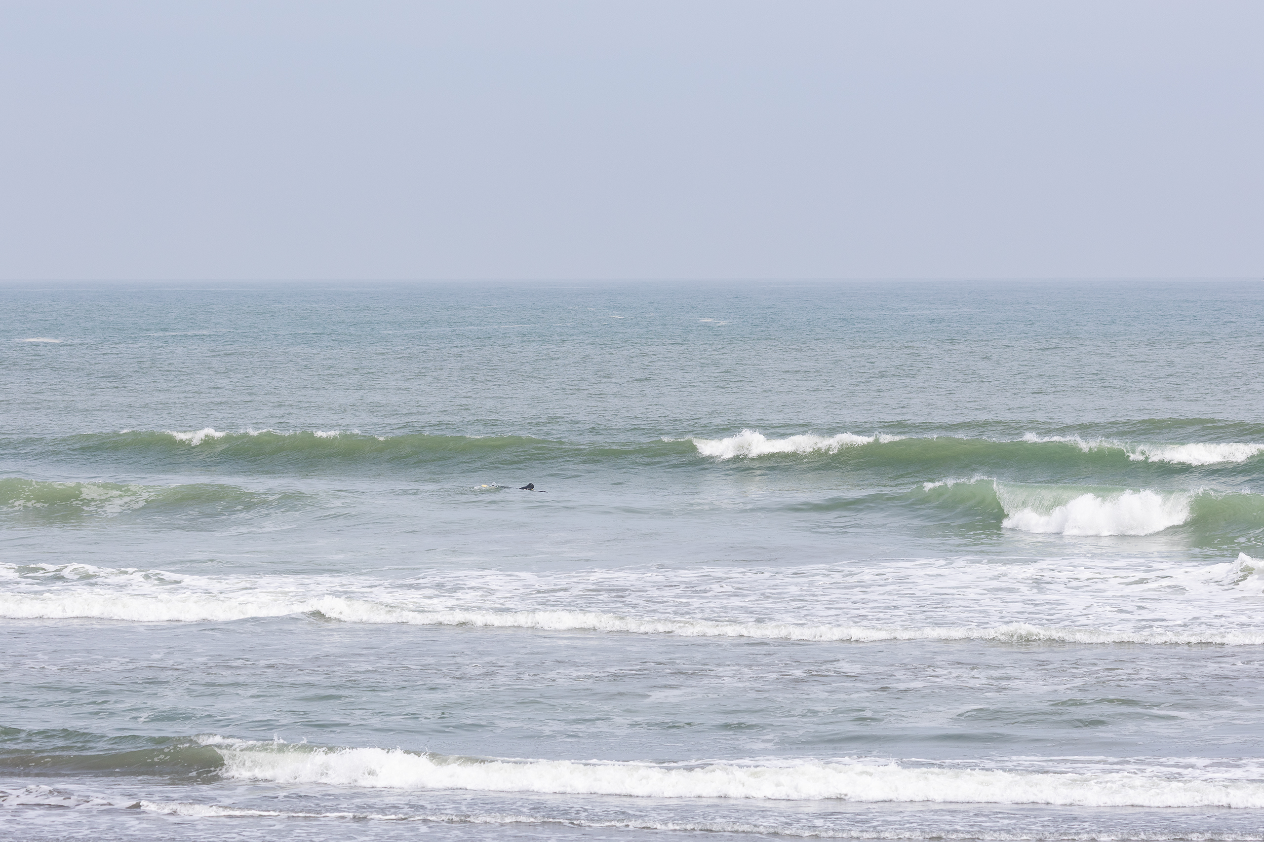 鴨川 サーフィン・波情報/Surf Report WeekdaySurfReport SURF+
