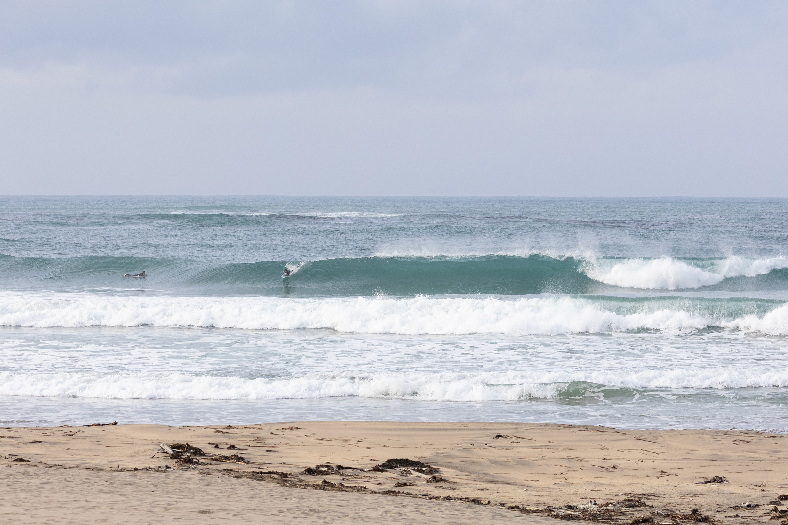 weekday surf report