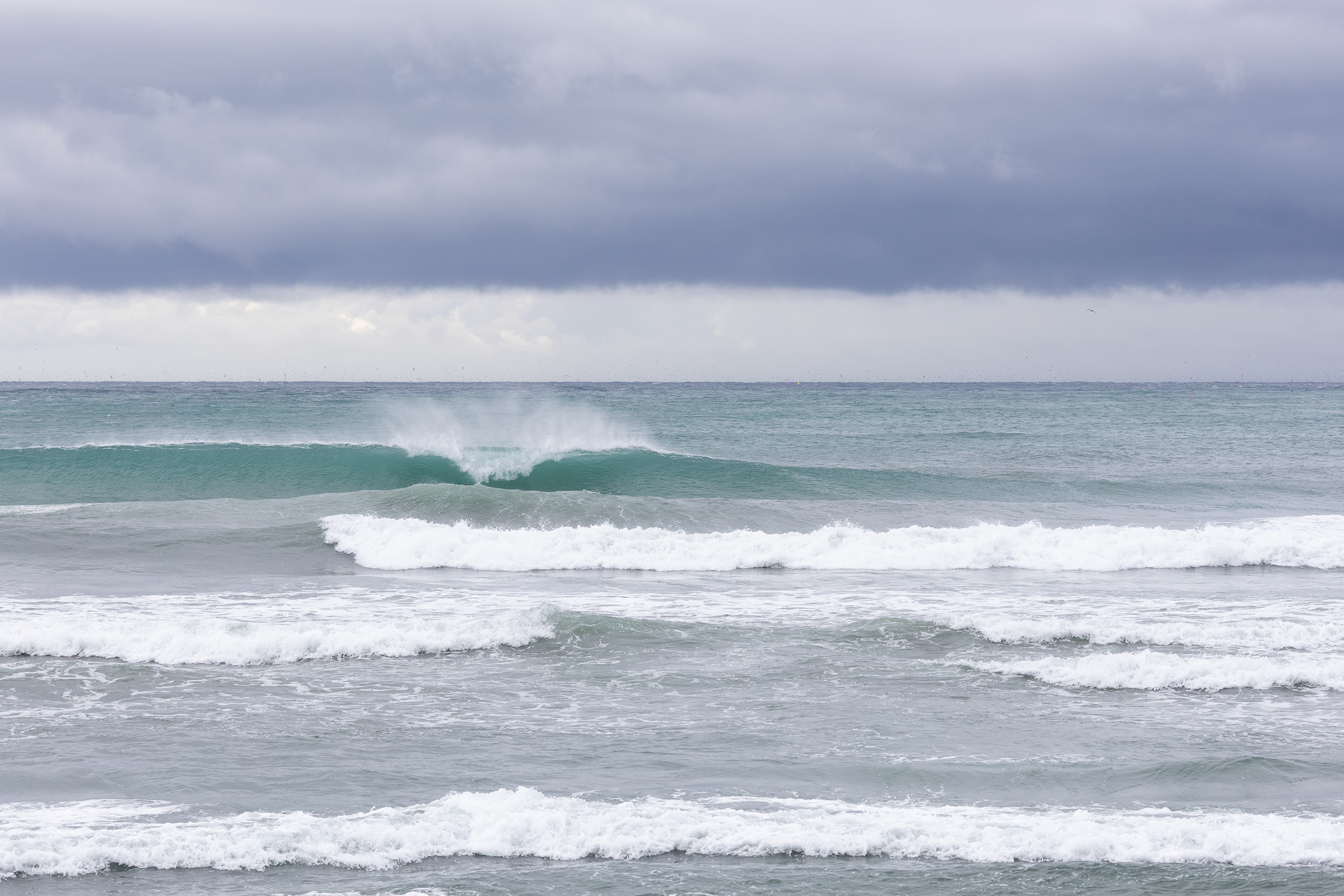 鴨川 サーフィン・波情報/Surf Report WeekdaySurfReport SURF+