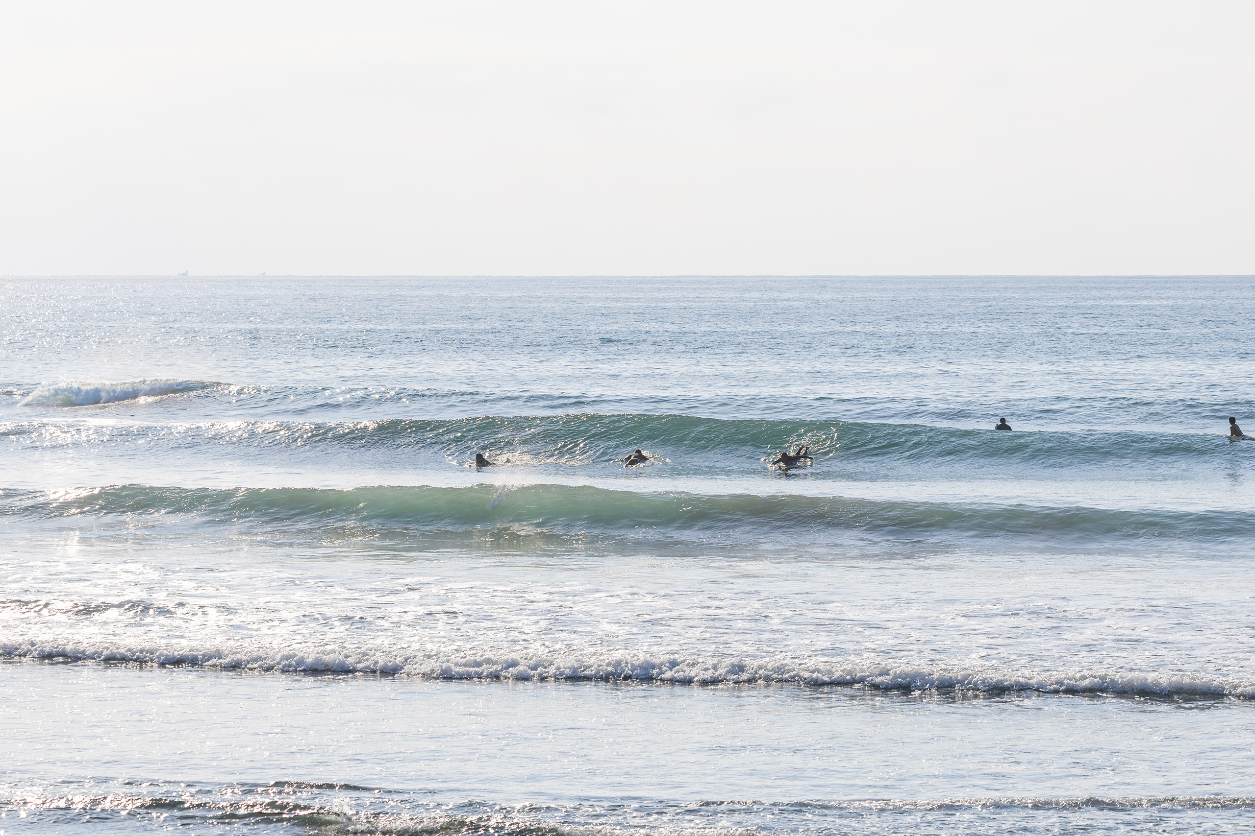 鴨川 サーフィン・波情報/Surf Report WeekdaySurfReport SURF+