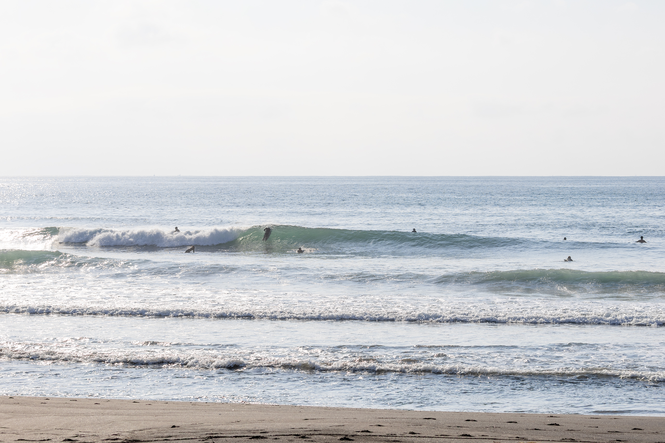 鴨川 サーフィン・波情報/Surf Report WeekdaySurfReport SURF+