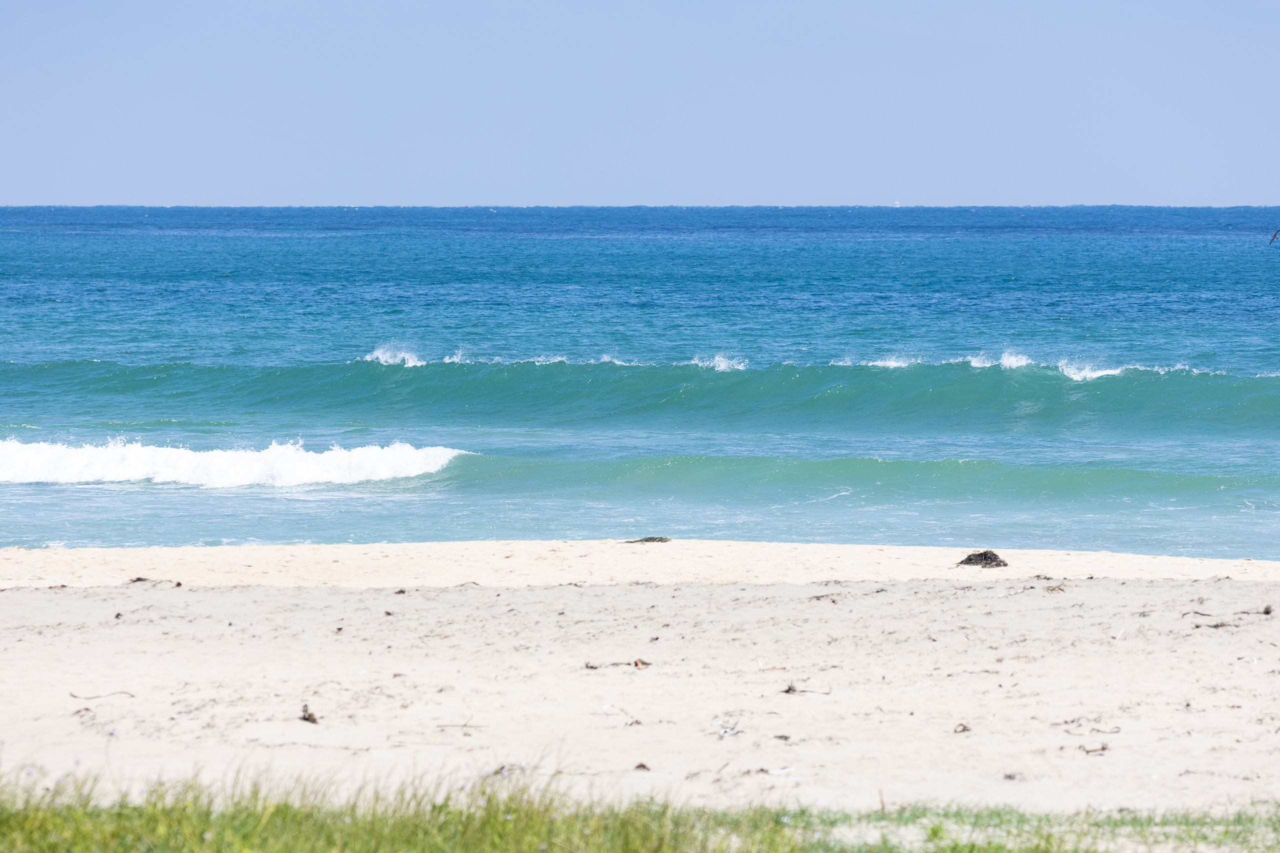 御宿 サーフィン・波情報/Surf Report WeekdaySurfReport SURF+