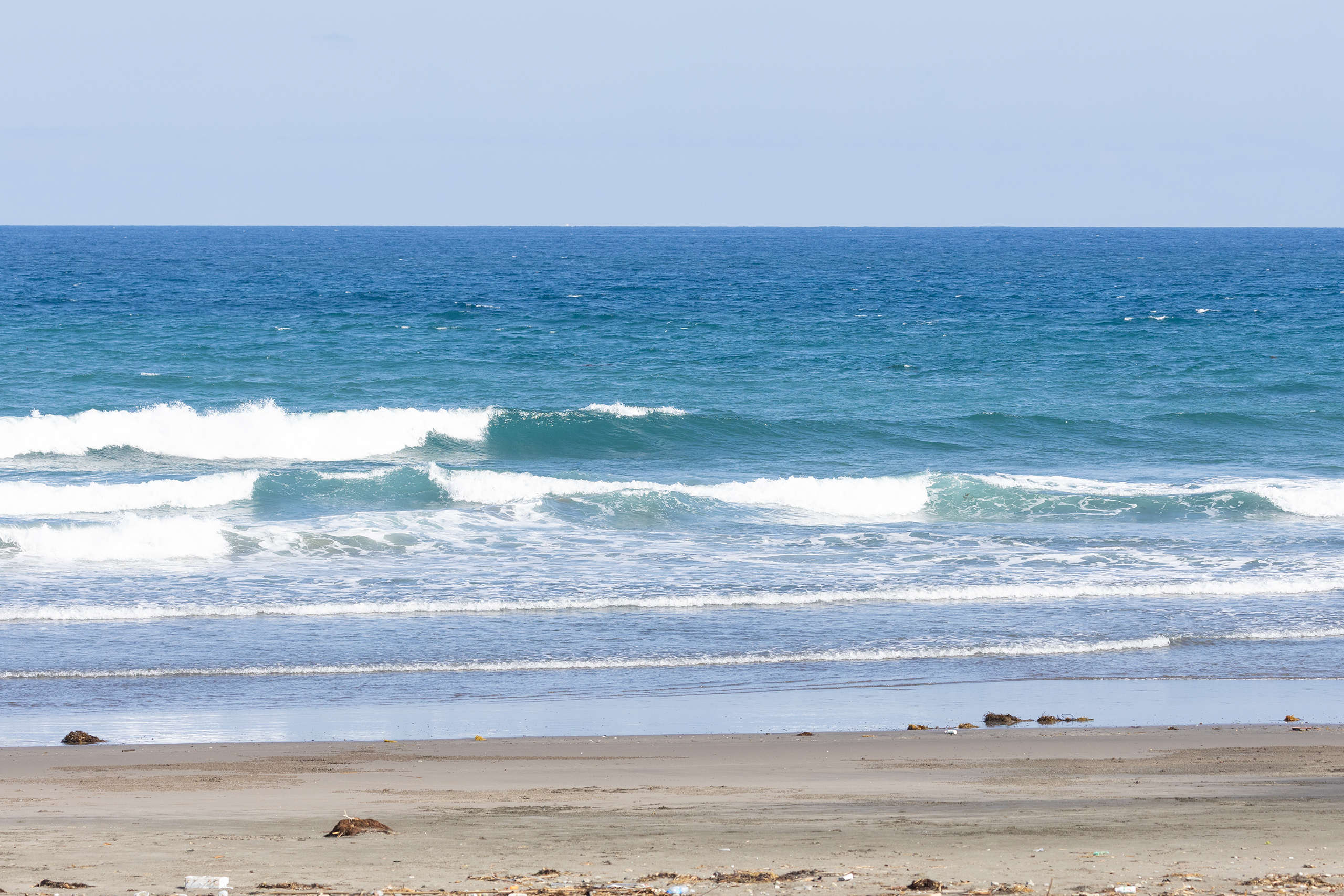 和田 サーフィン・波情報/Surf Report WeekdaySurfReport SURF+