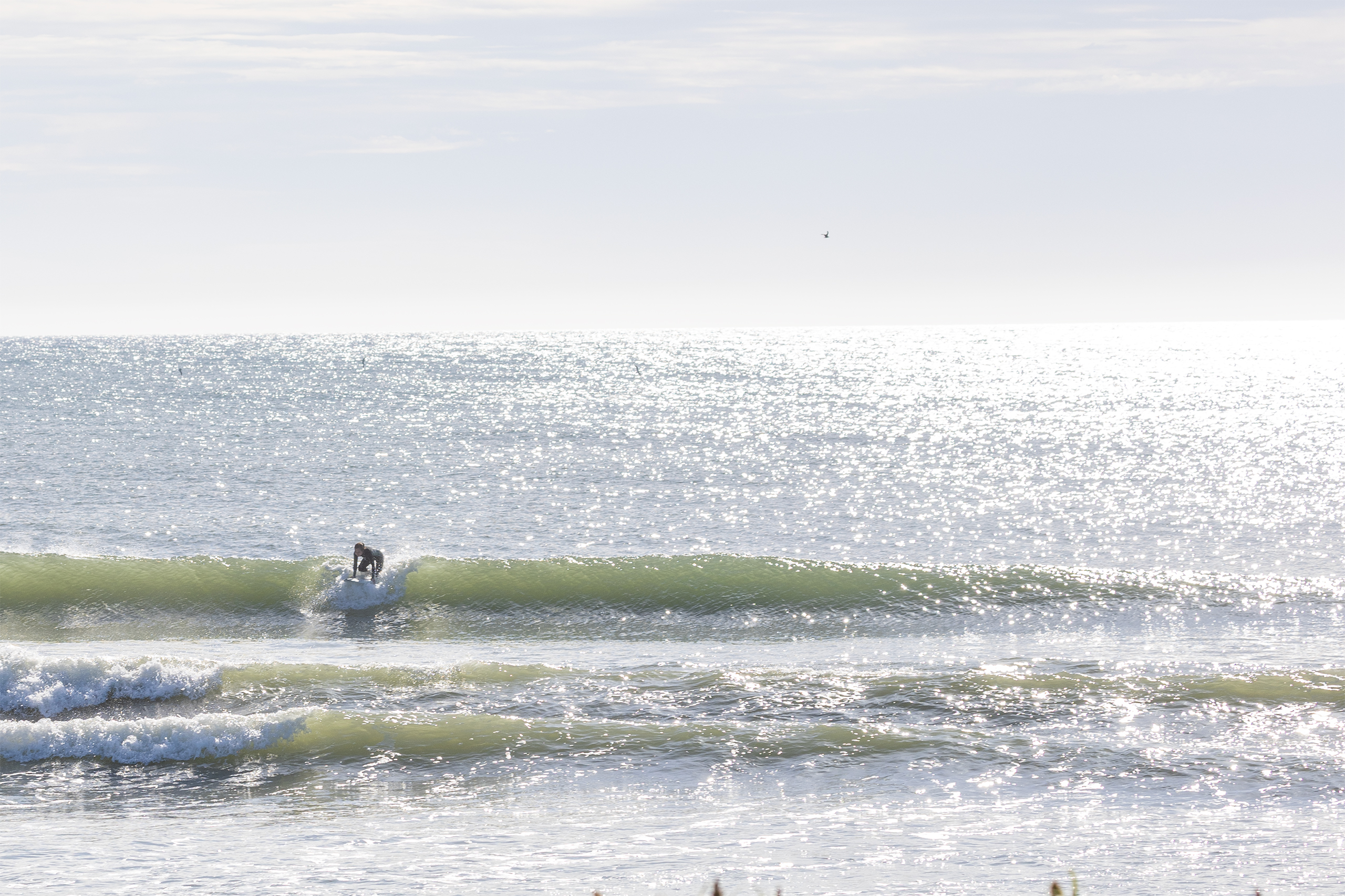志田 サーフィン・波情報/Surf Report WeekdaySurfReport SURF+
