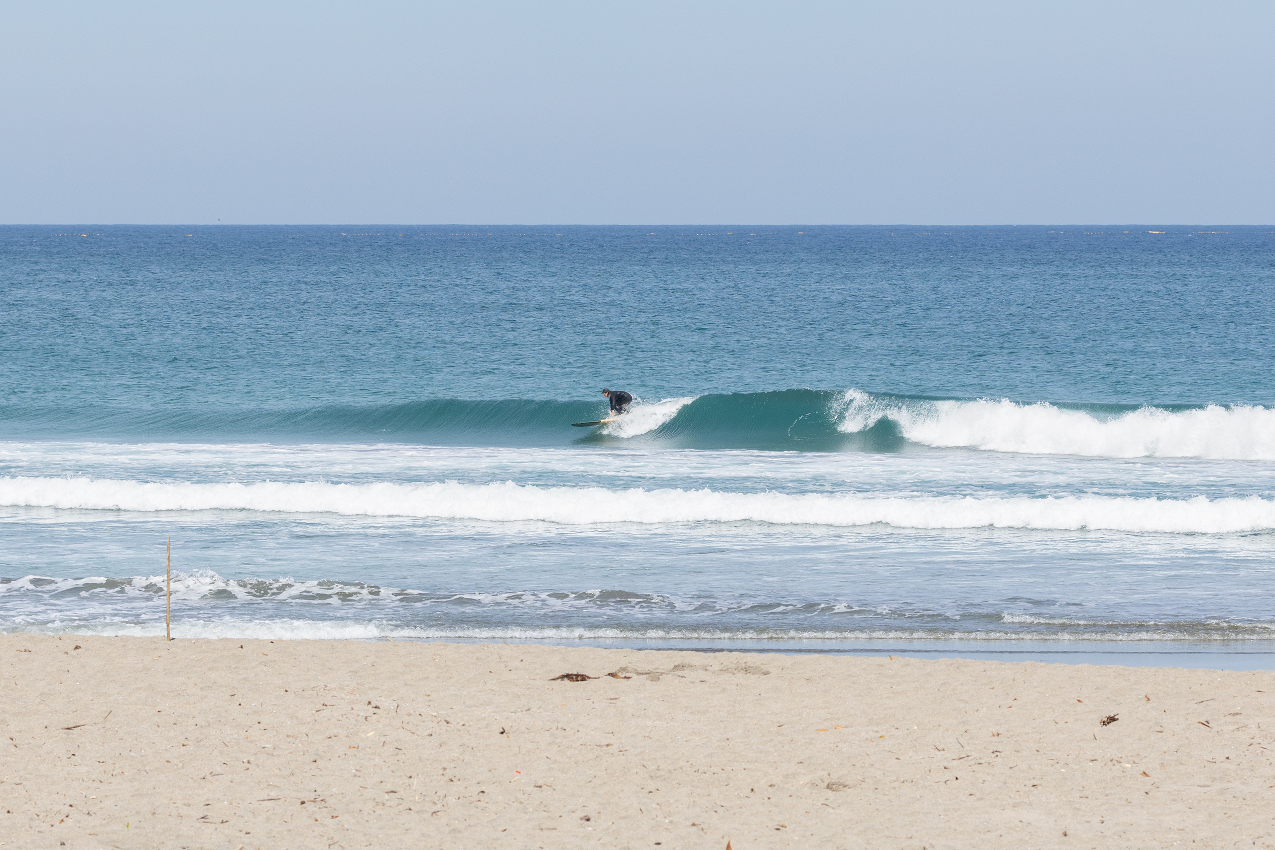 weekday surf report