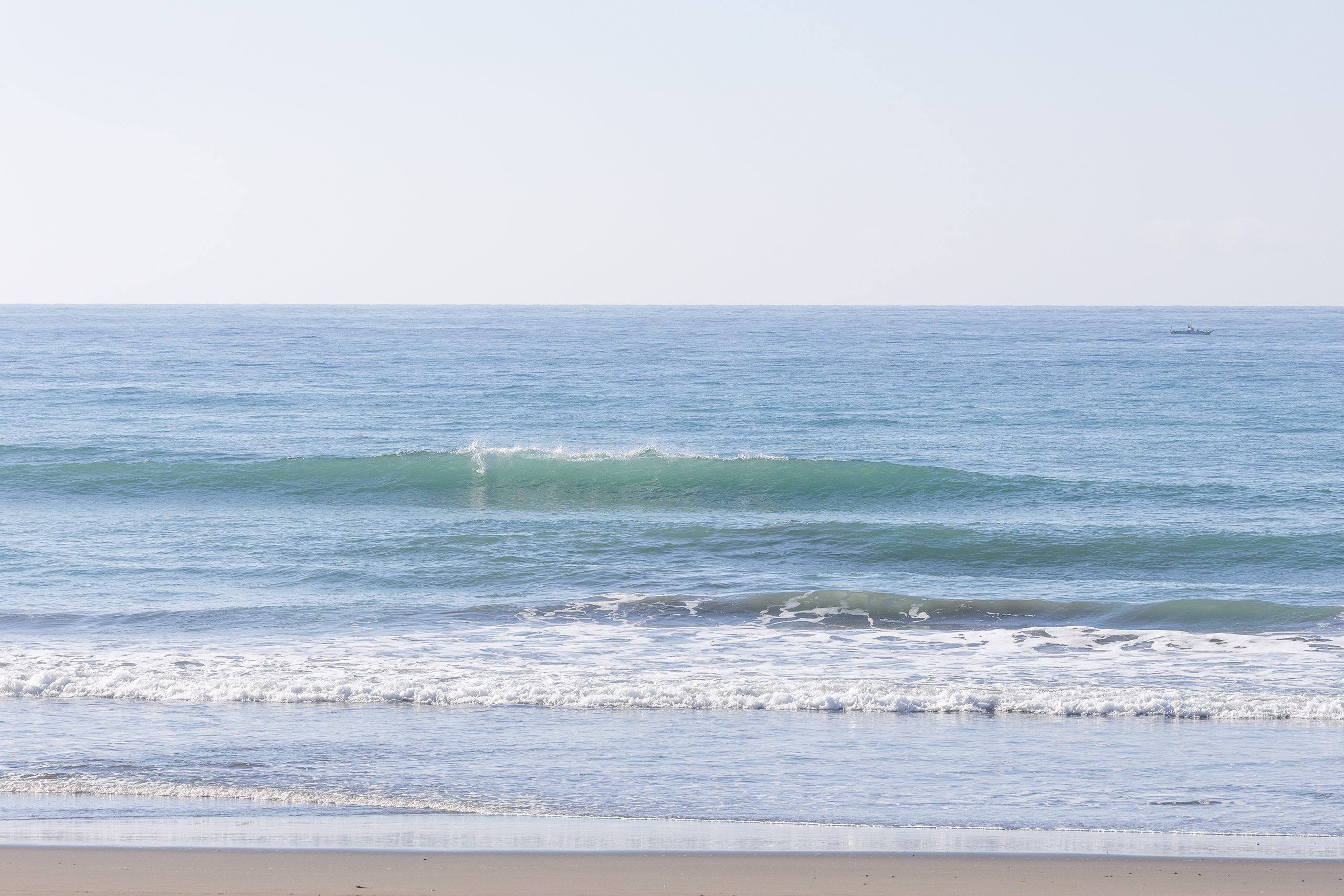 和田 サーフィン・波情報/Surf Report WeekdaySurfReport SURF+