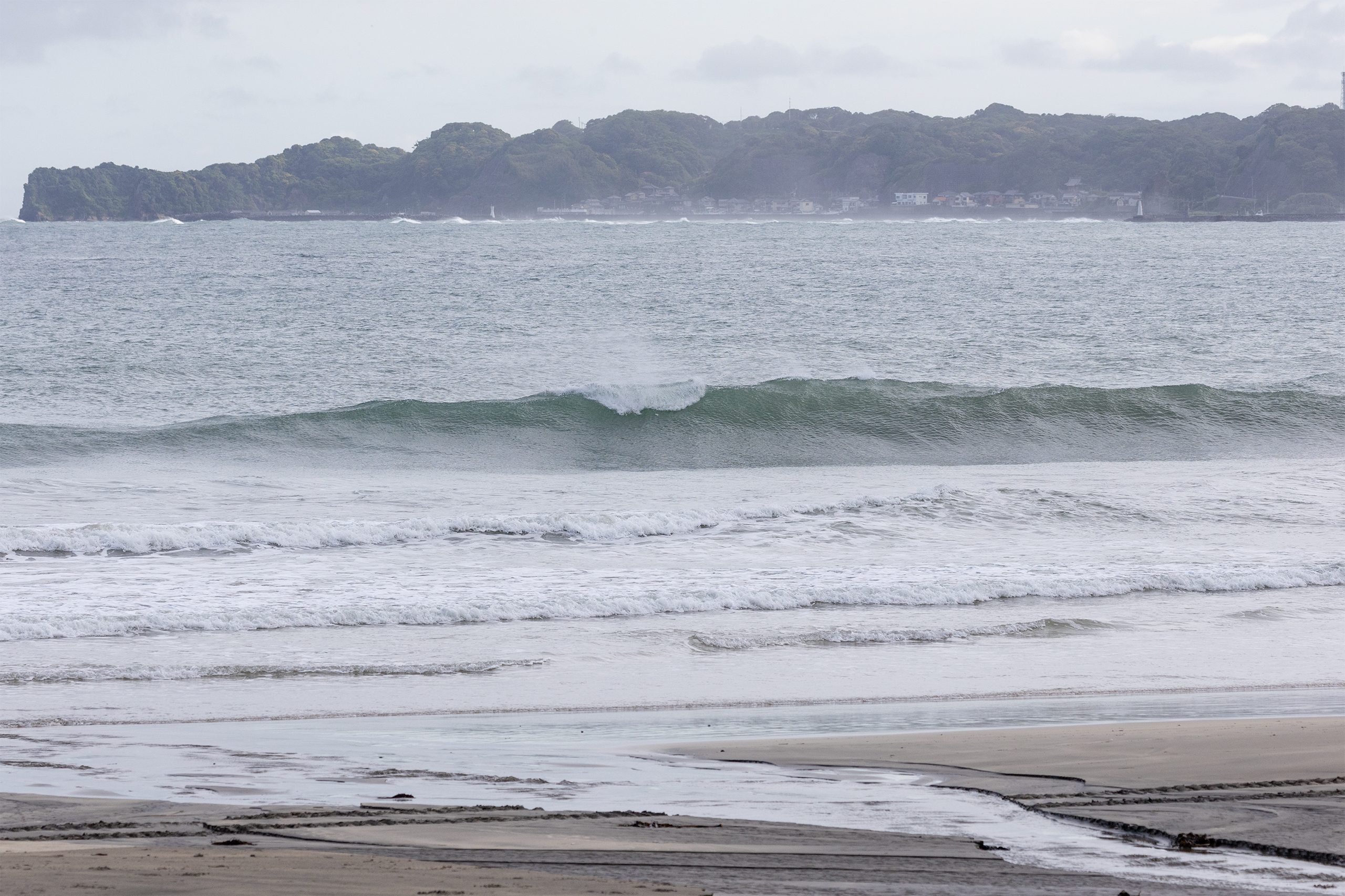 weekday surf report