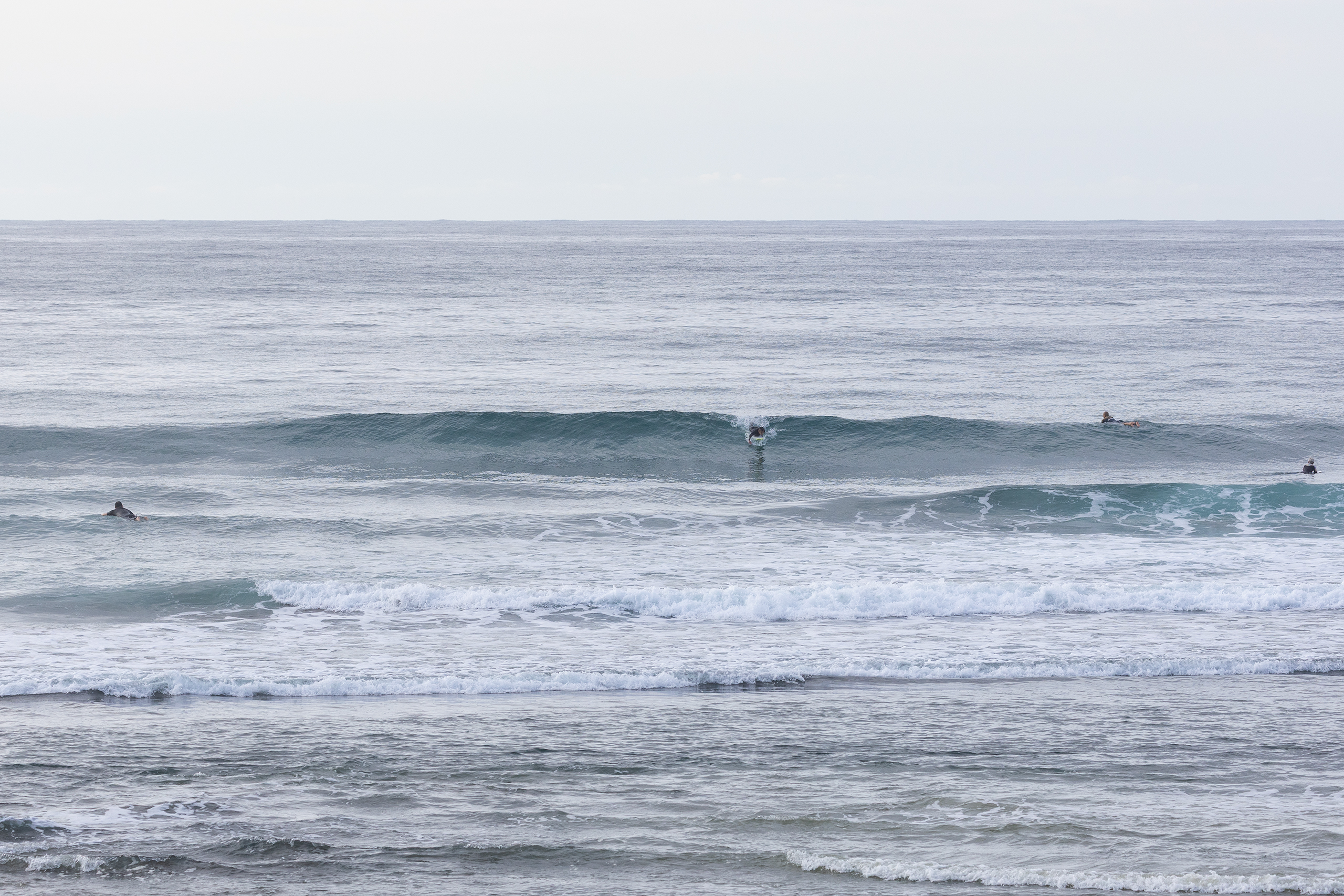 和田 サーフィン・波情報/Surf Report WeekdaySurfReport SURF+