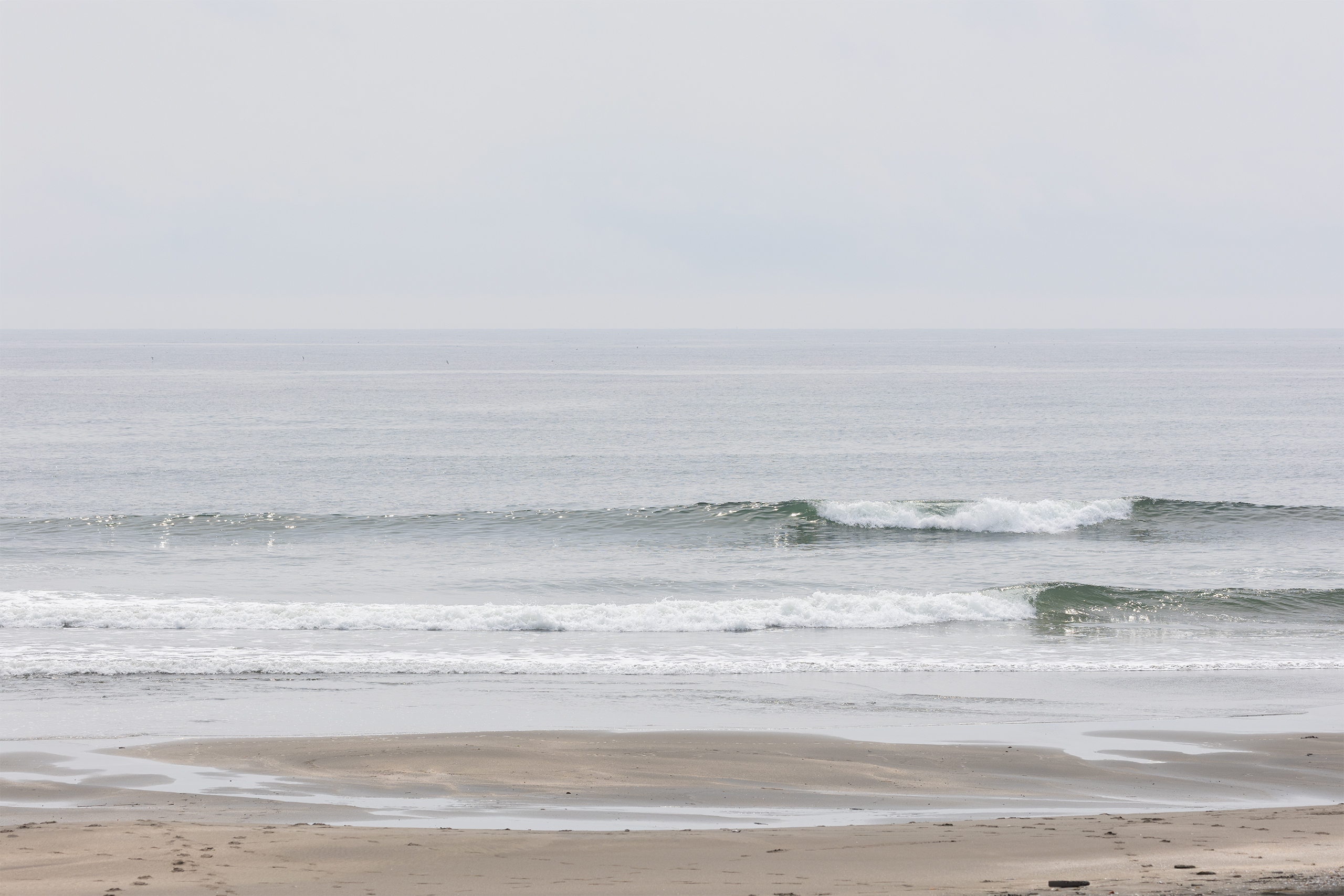 weekday surf report