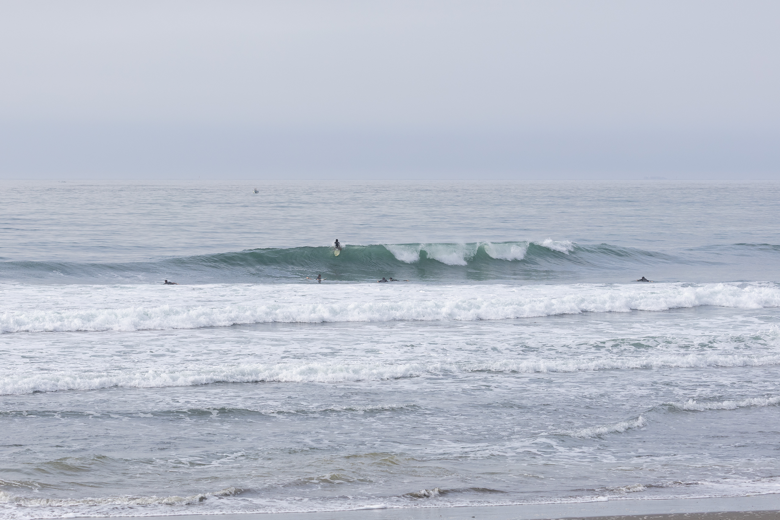 weekday surf report