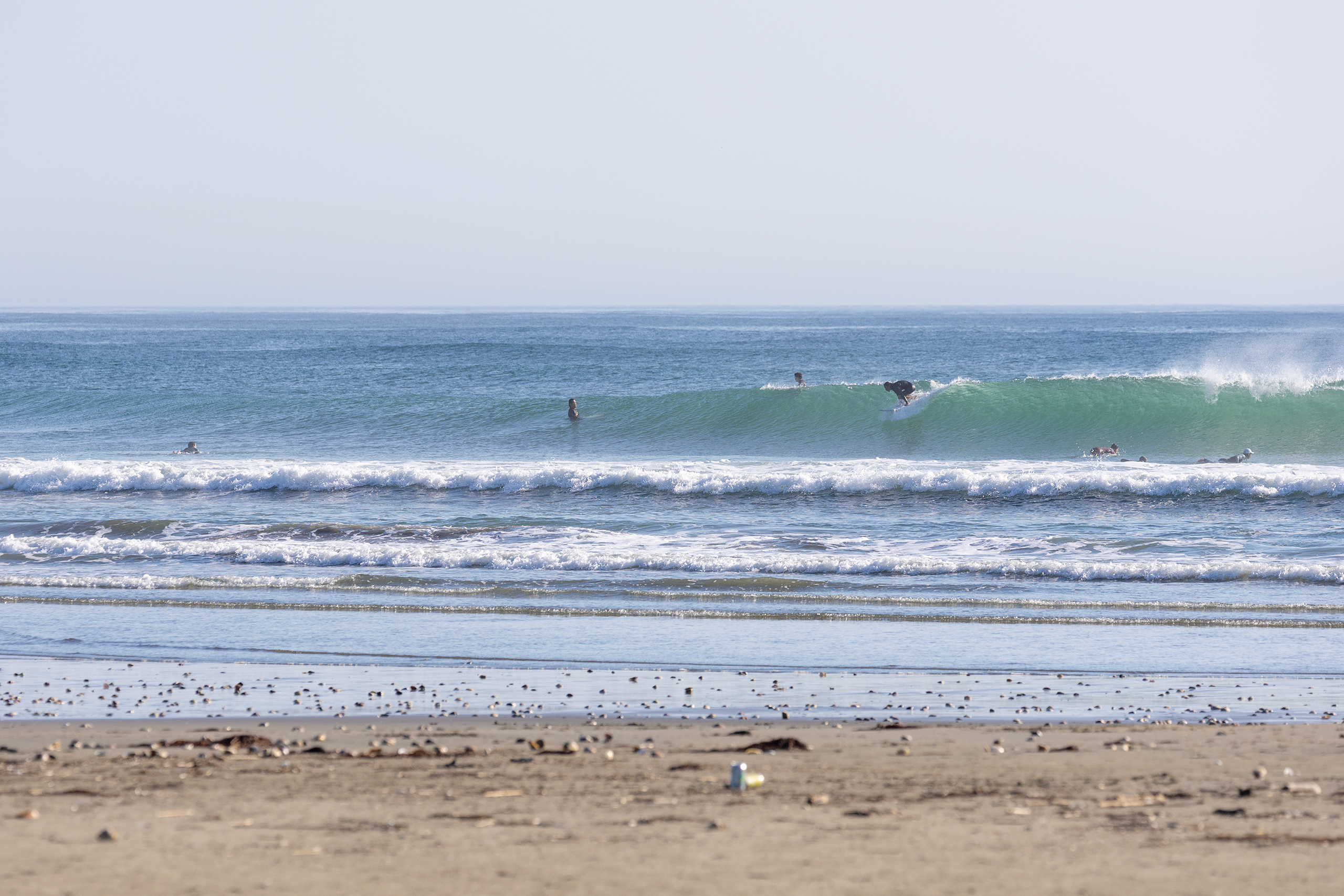weekday surf report
