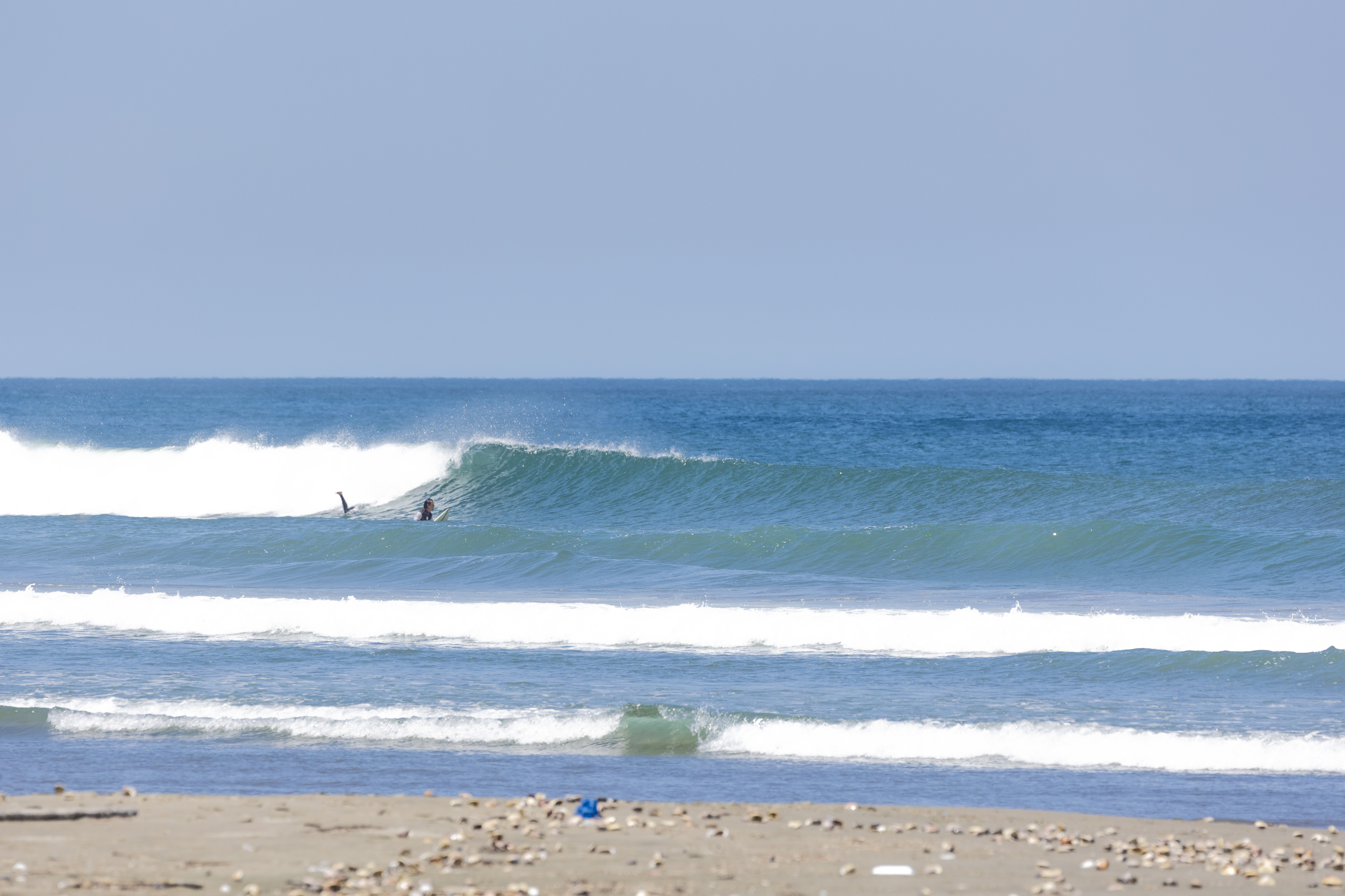 鹿島 サーフィン・波情報/Surf Report WeekdaySurfReport SURF+