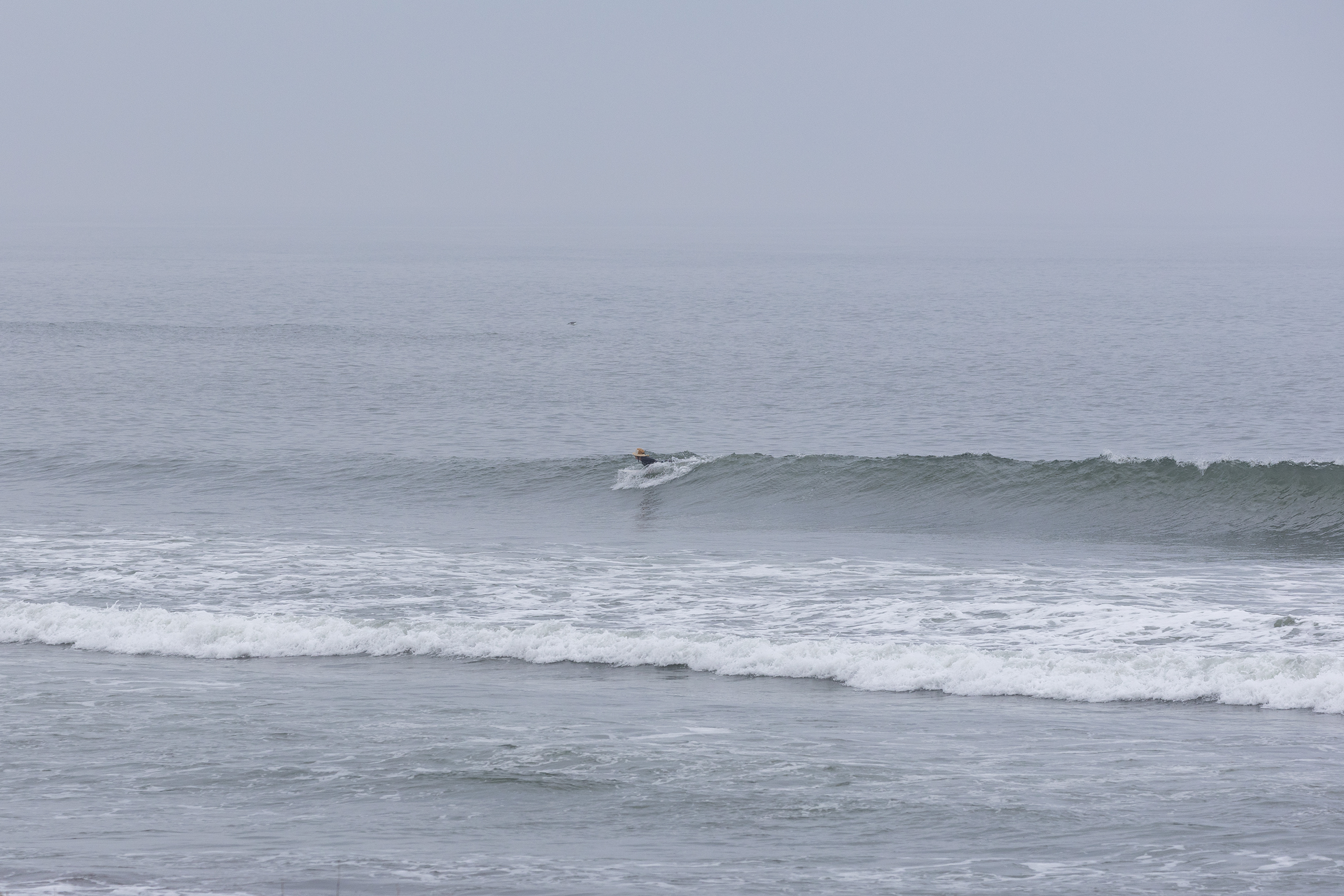 志田 サーフィン・波情報/Surf Report WeekdaySurfReport SURF+
