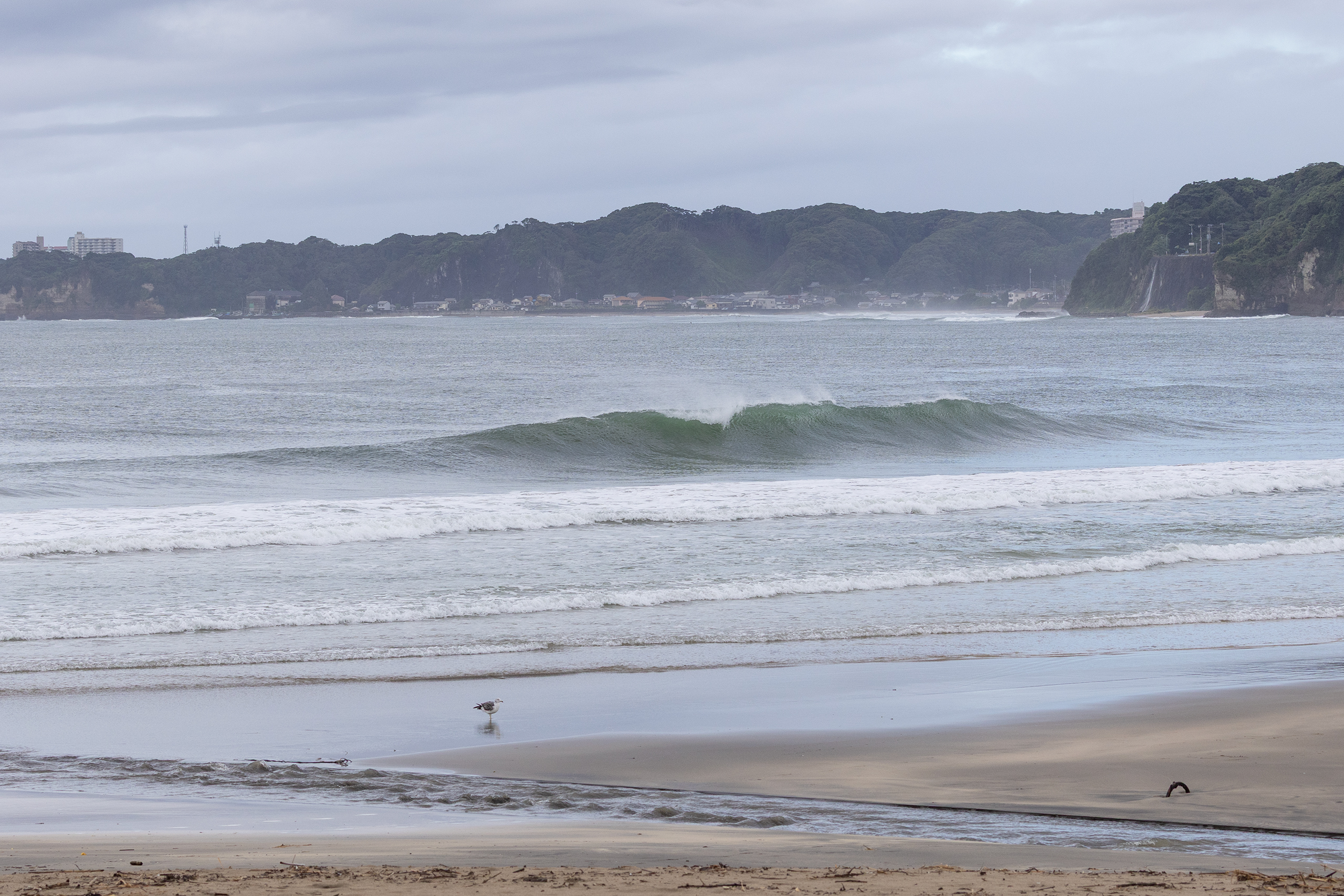 御宿 サーフィン・波情報/Surf Report WeekdaySurfReport SURF+