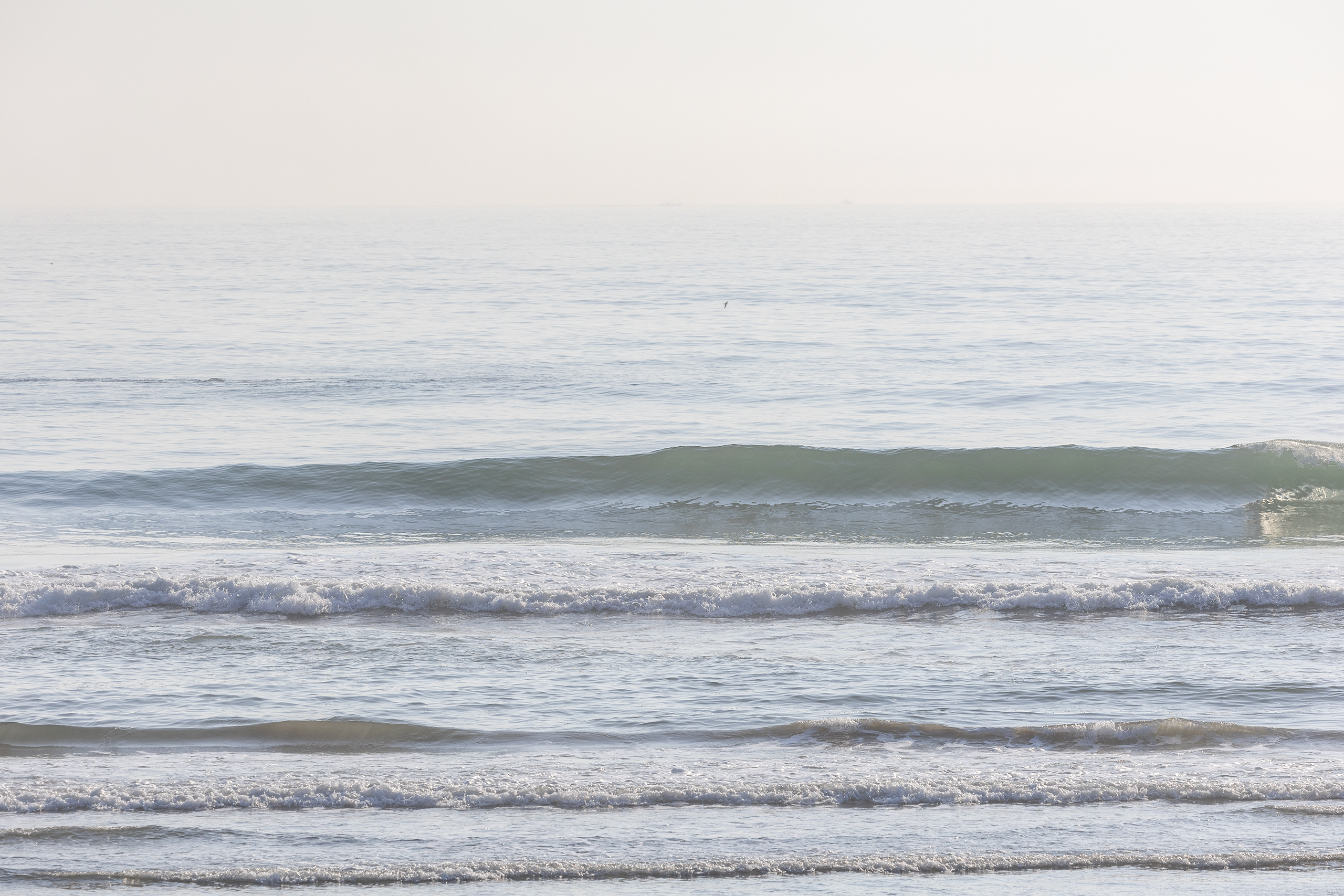 鉾田 サーフィン・波情報/Surf Report WeekdaySurfReport SURF+