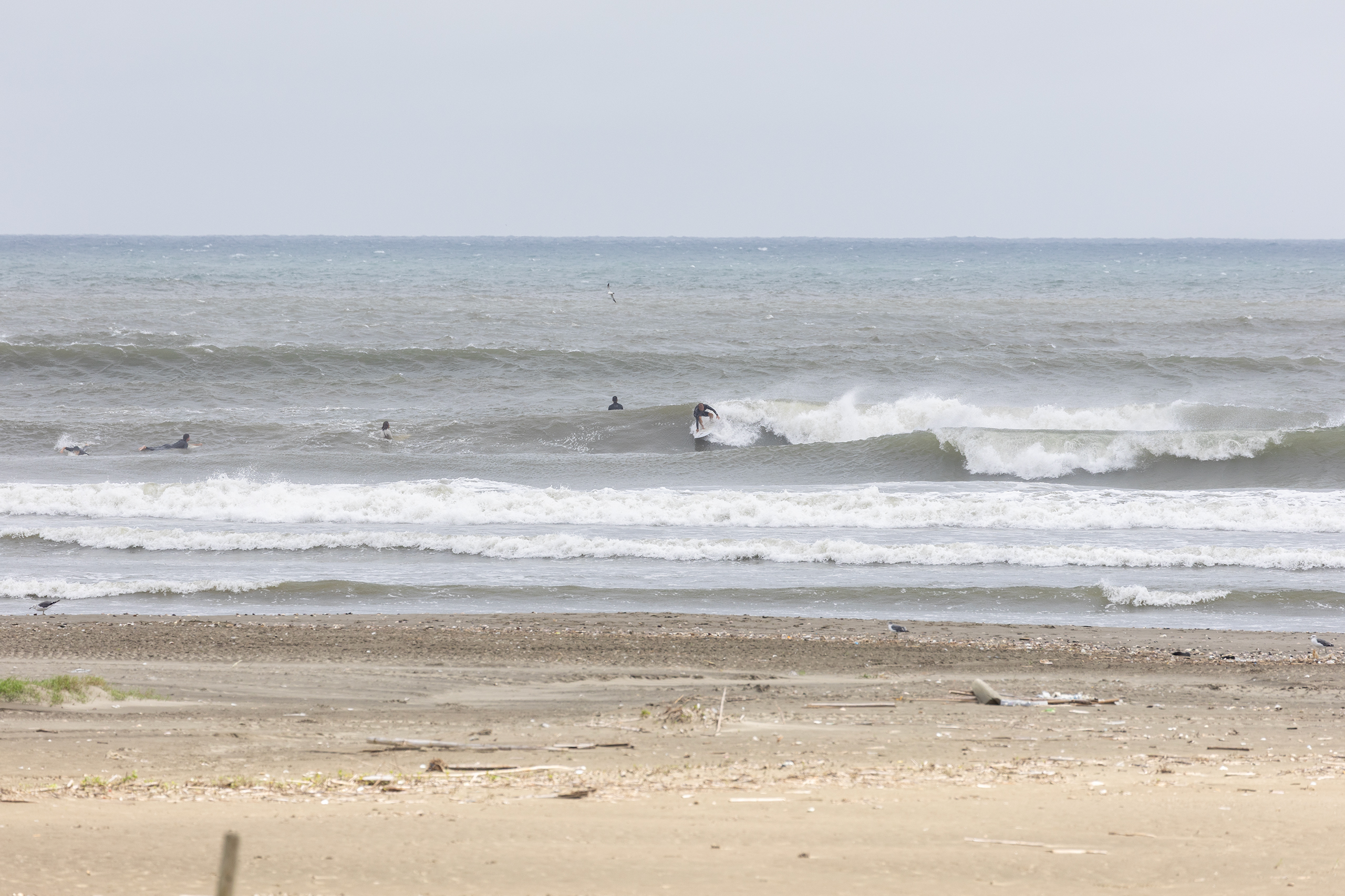 片貝 サーフィン・波情報/Surf Report WeekdaySurfReport SURF+